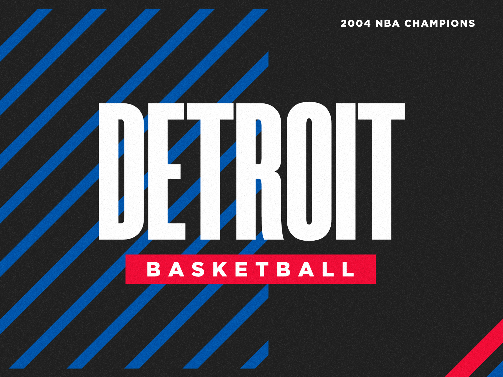 The 2004 NBA Champion Detroit Pistons