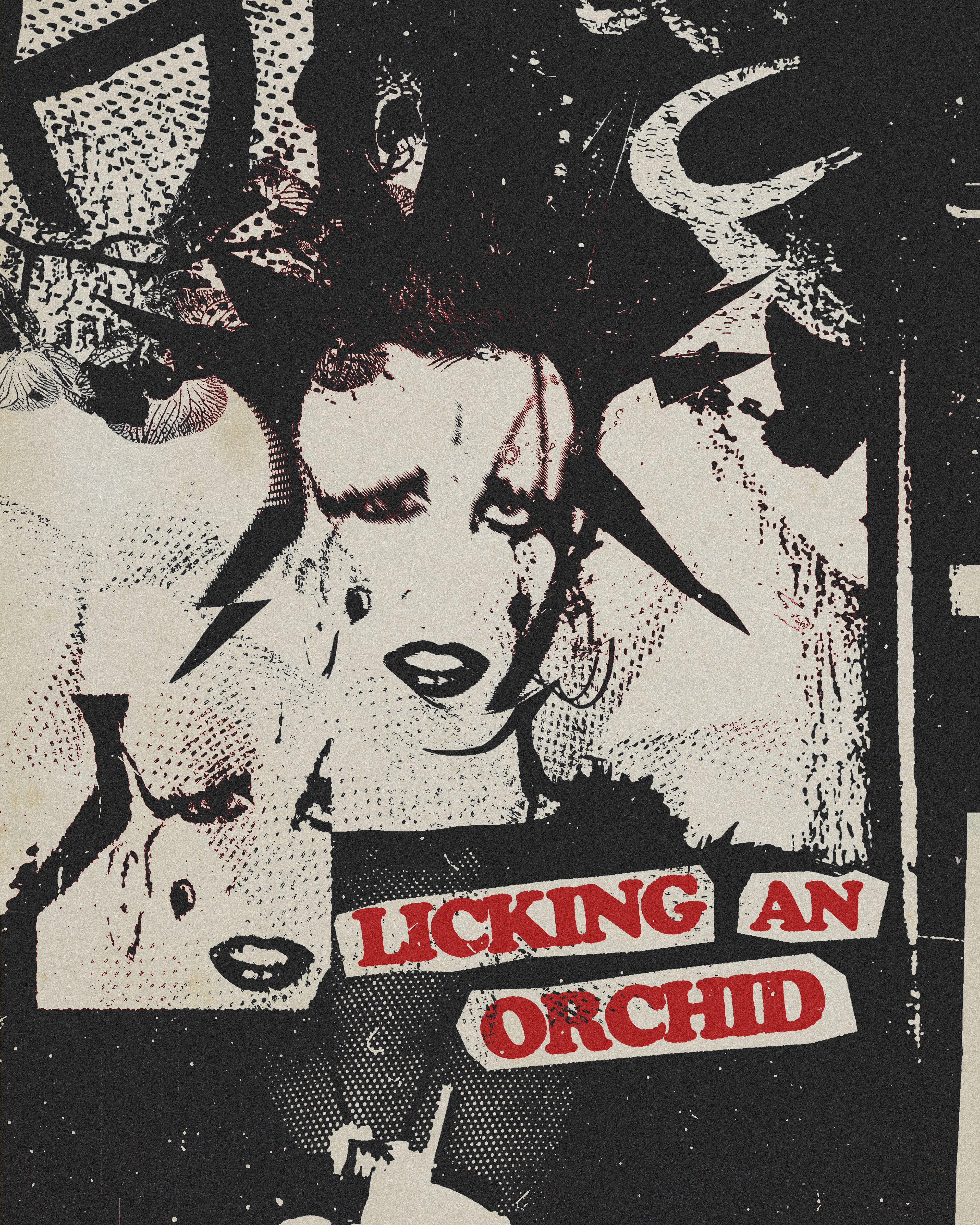 Licking An Orchid