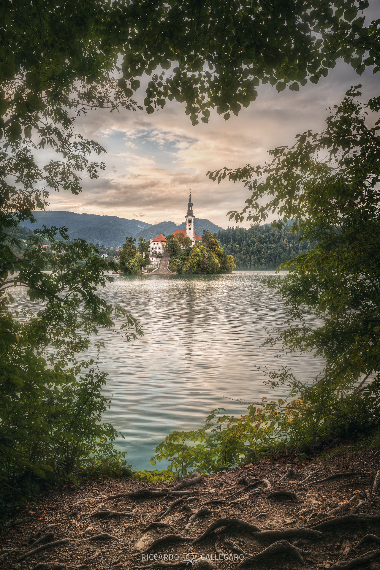 The island through the leaves