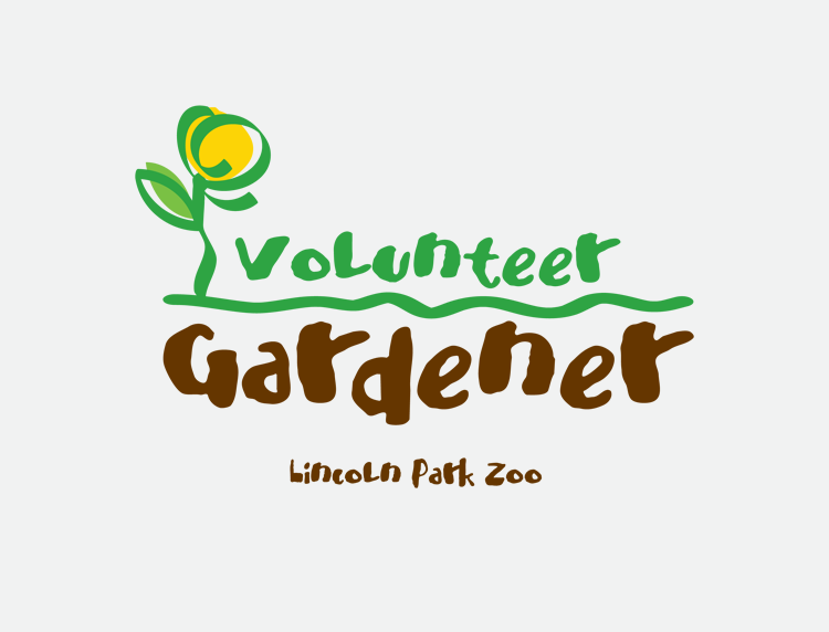 Volunteer Program