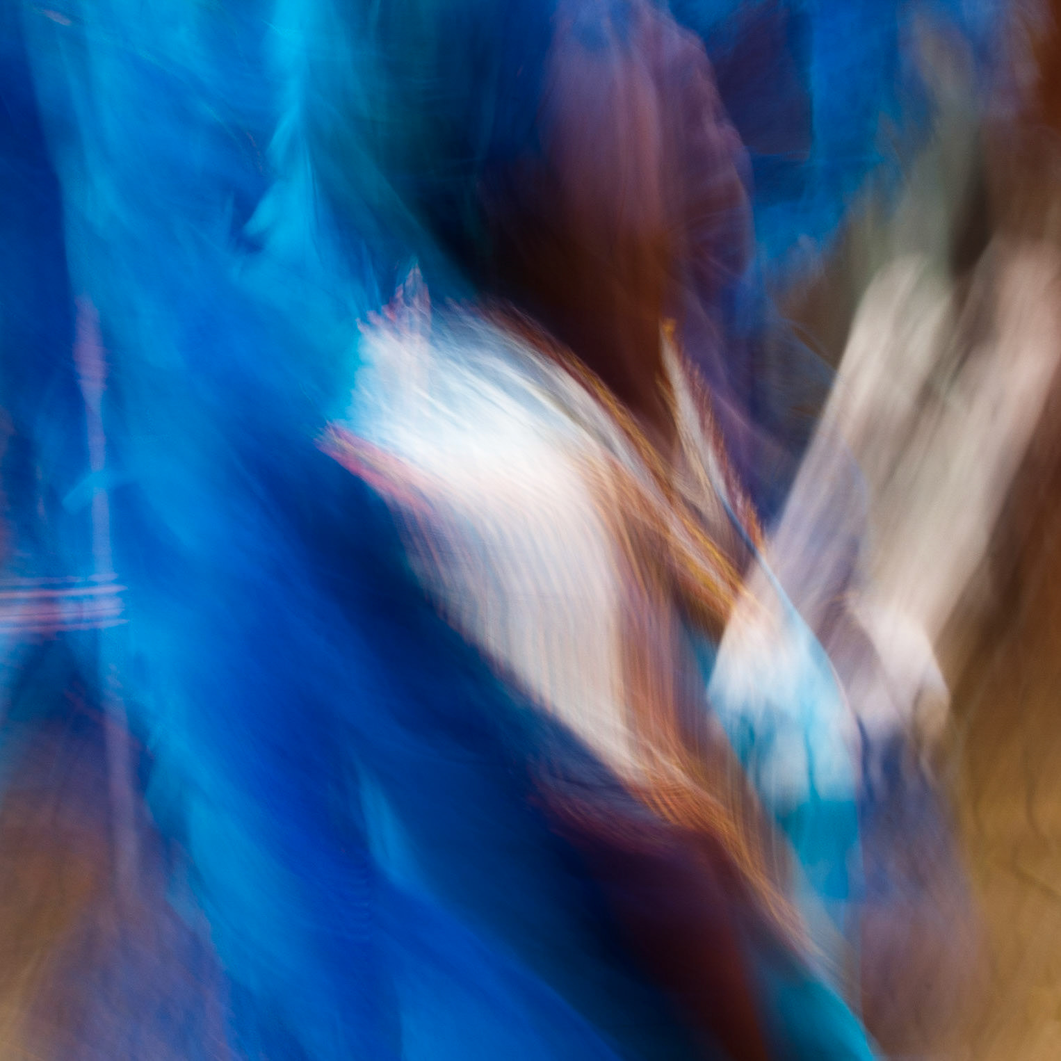 Carnival Impressions