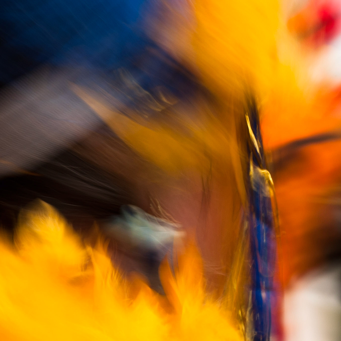Carnival Impressions