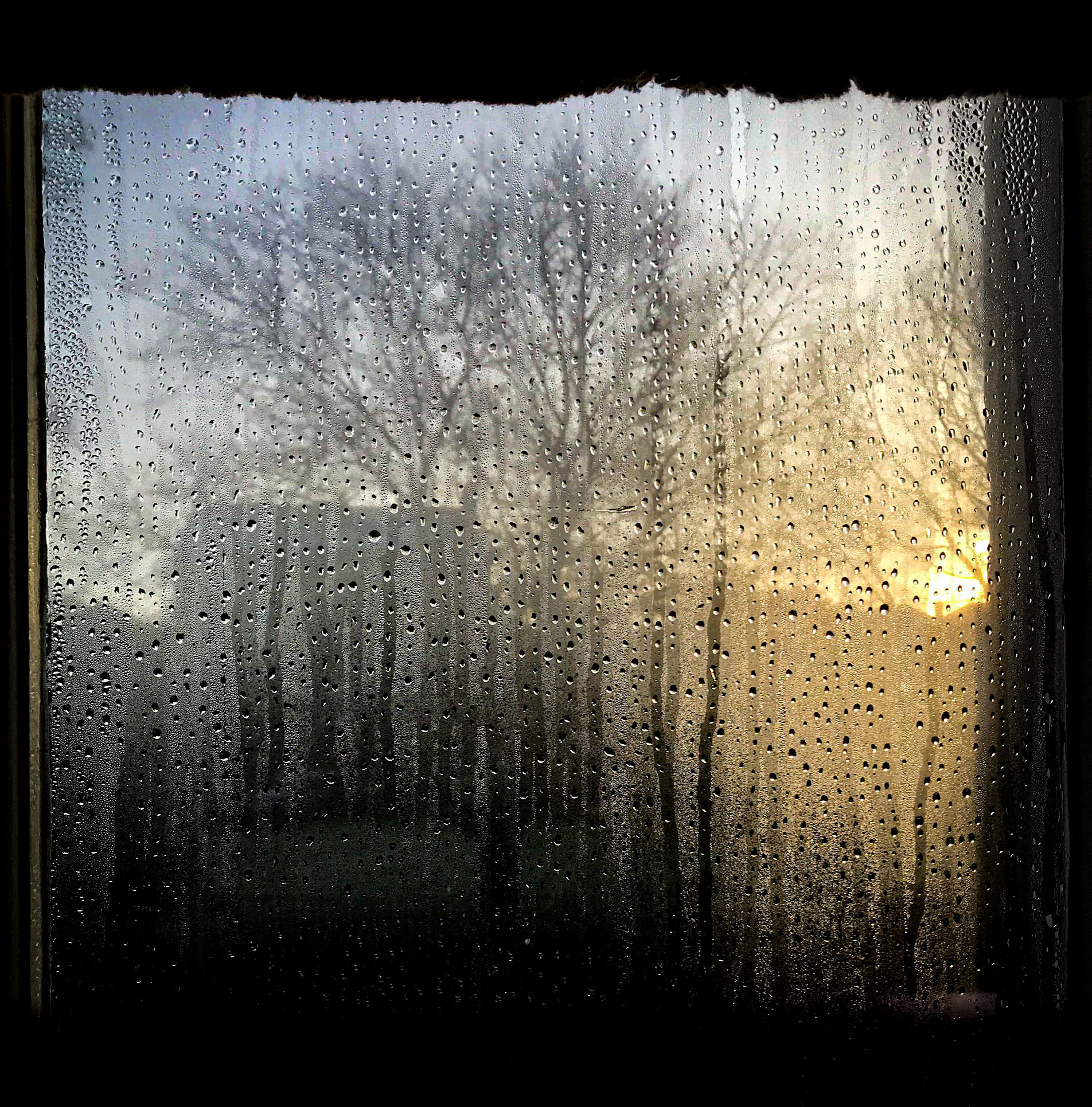 window