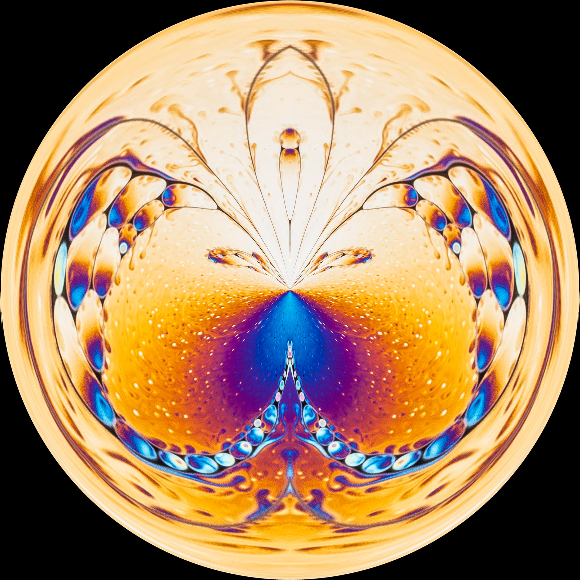 Orb