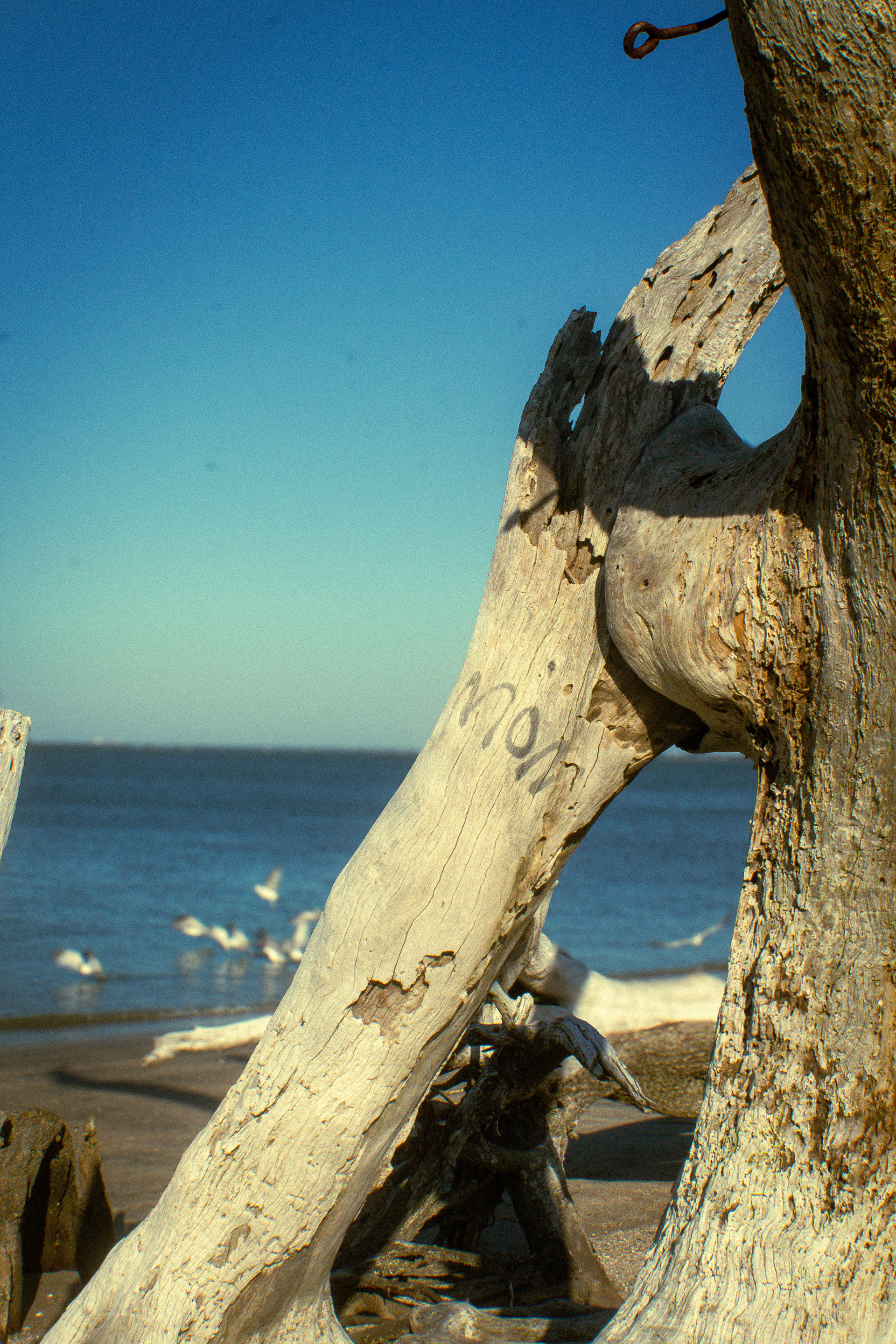 James Island, SC