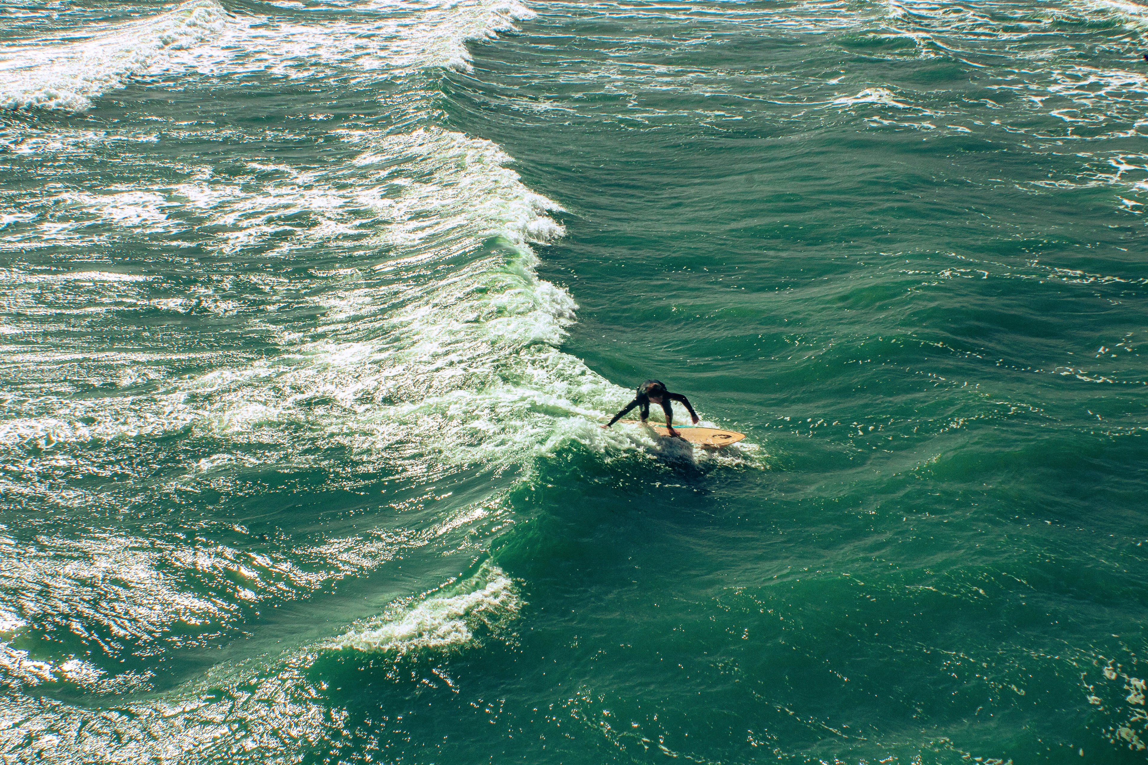 James Island Surfer