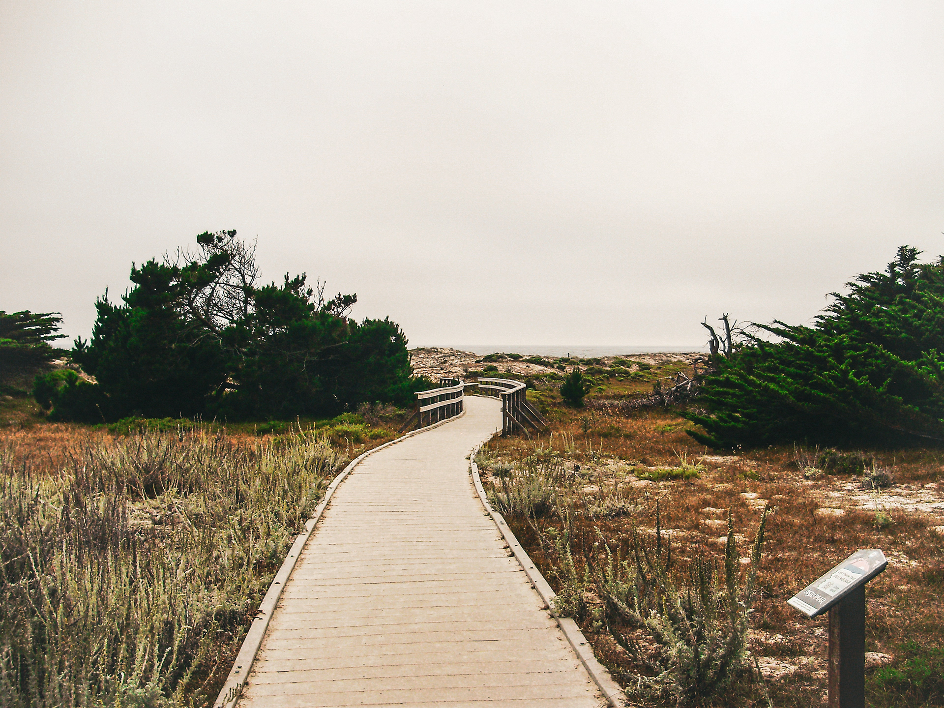 Paths through the fog in Monterey Bay