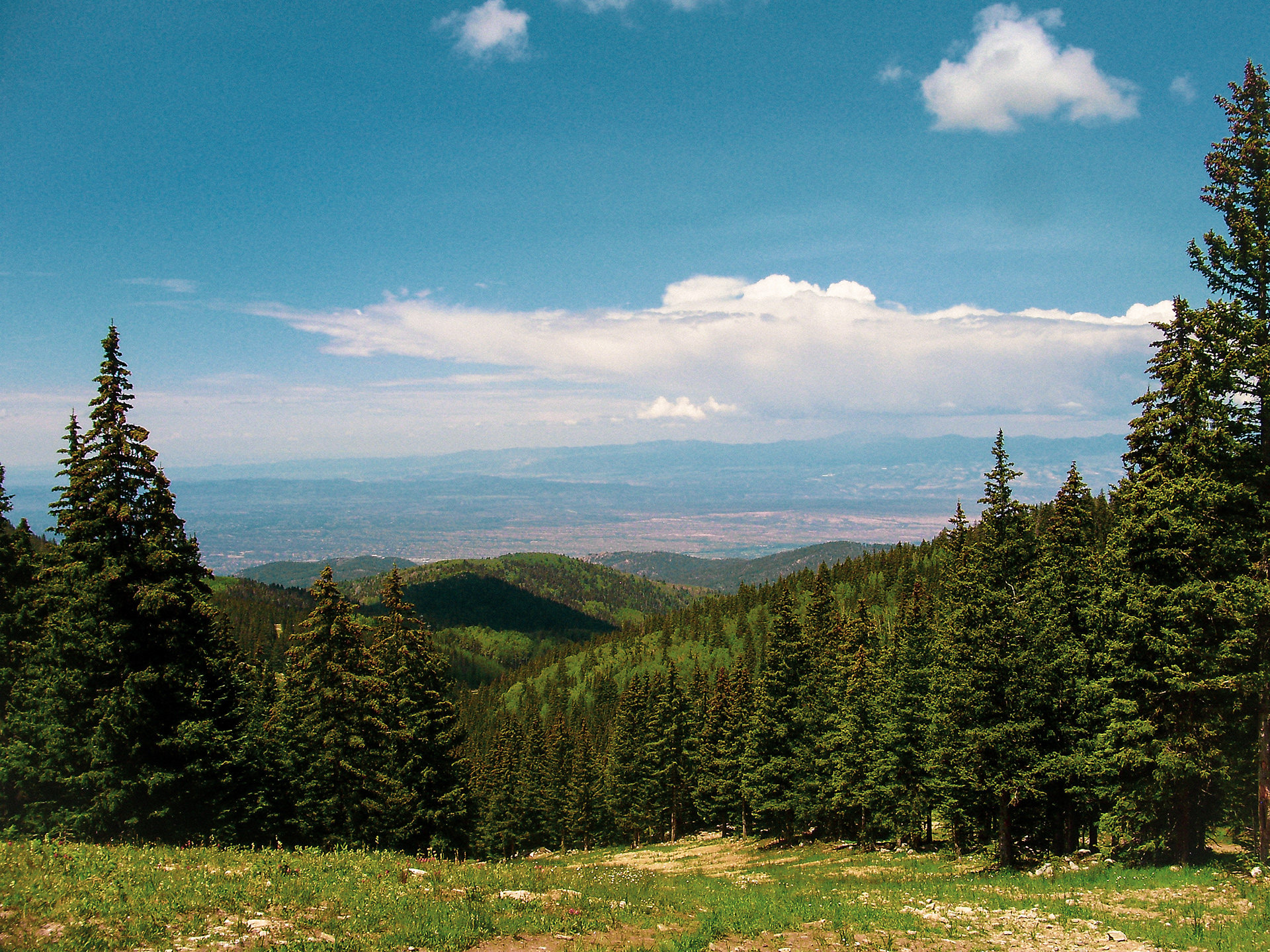 Ski mountain views in Summer, captured on my childhood digital camera- Santa Fe, New Mexico.