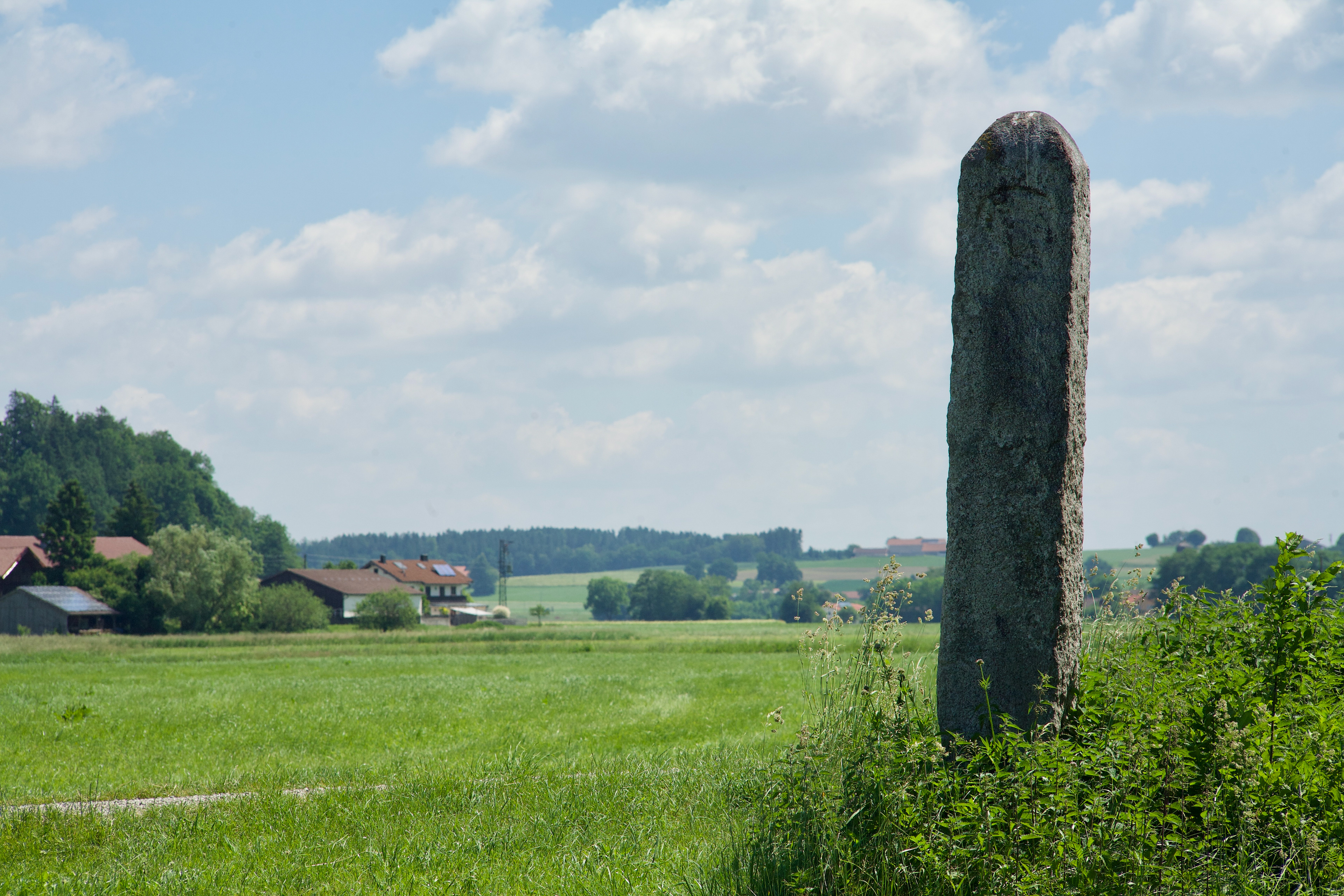 6-2021 // Der Weiße Stein, im Hintergrund Reit bei Ebrach (Gmd. Albaching) // Pentacon electric 2.8/135mm, Canon EOS 5D