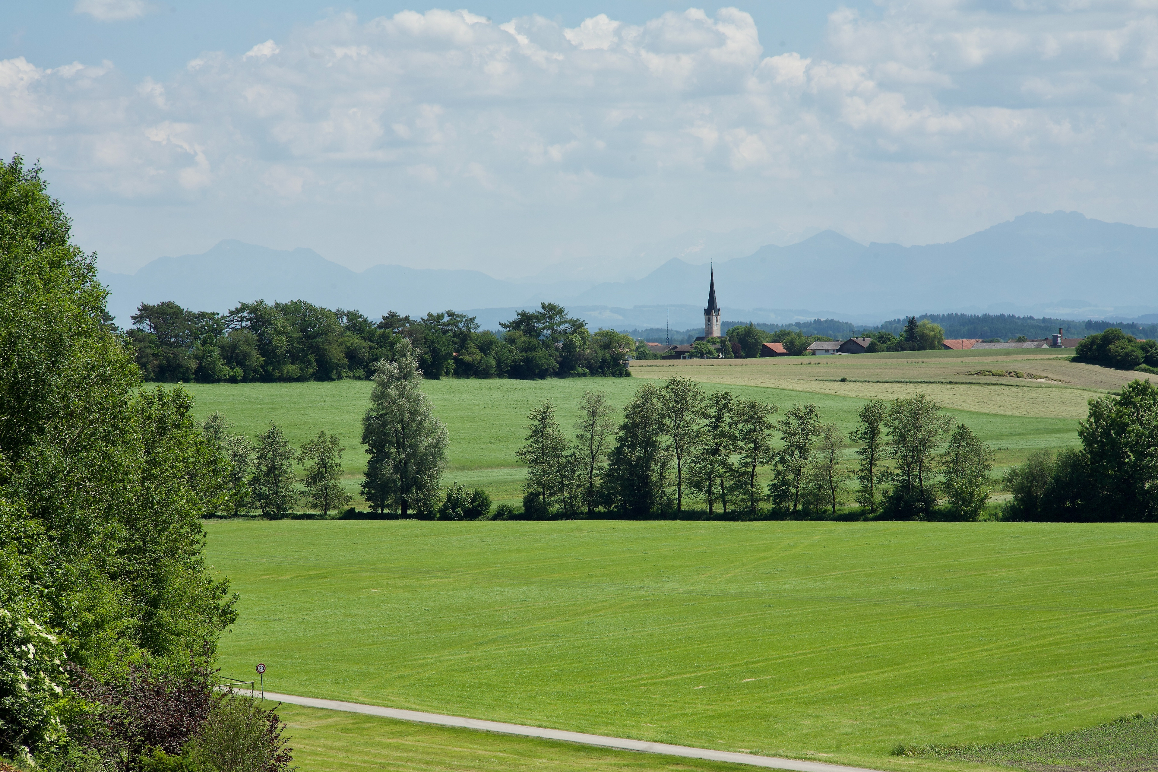 6-2021 // Ebrachtal: Fernblick von Endorf (Gmd. Steinhöring) Richtung Alpen // Pentacon electric 2.8/135mm, Canon EOS 5D