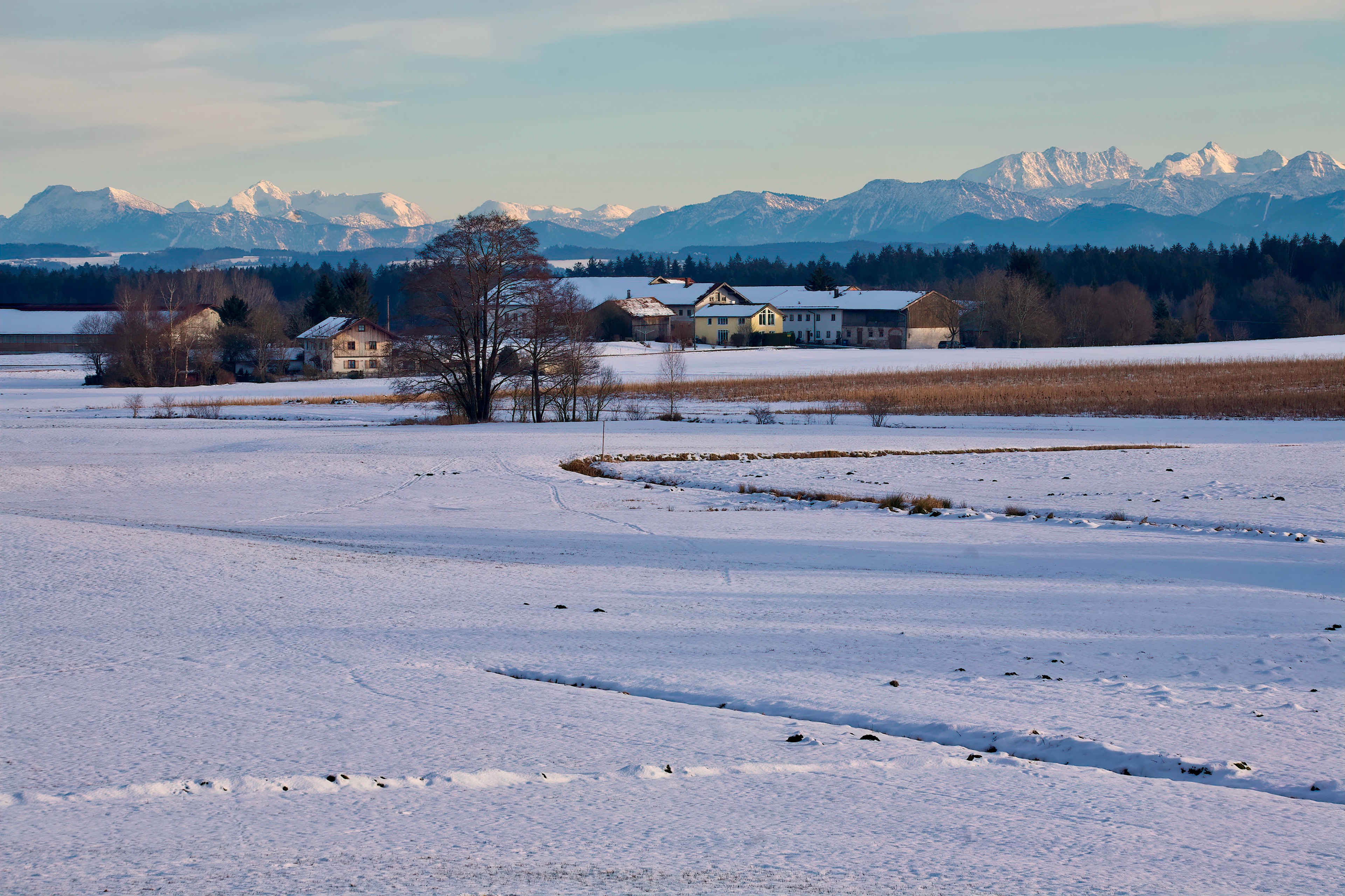 1-2021 // Schreiern vor der Alpenkette // Sigma 150-600mm, Canon EOS 5D