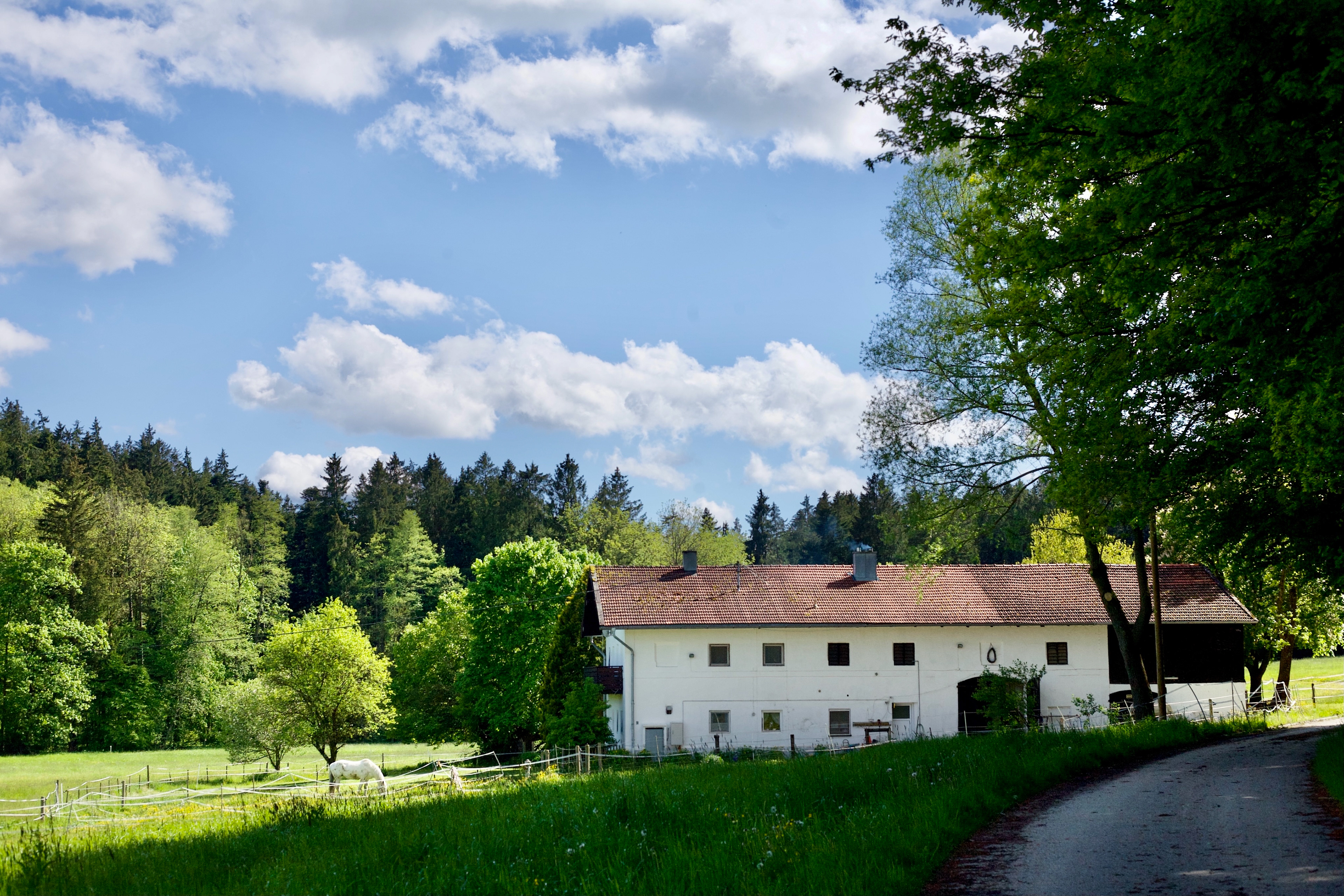 Holzöd (Gmd. Kirchdorf)