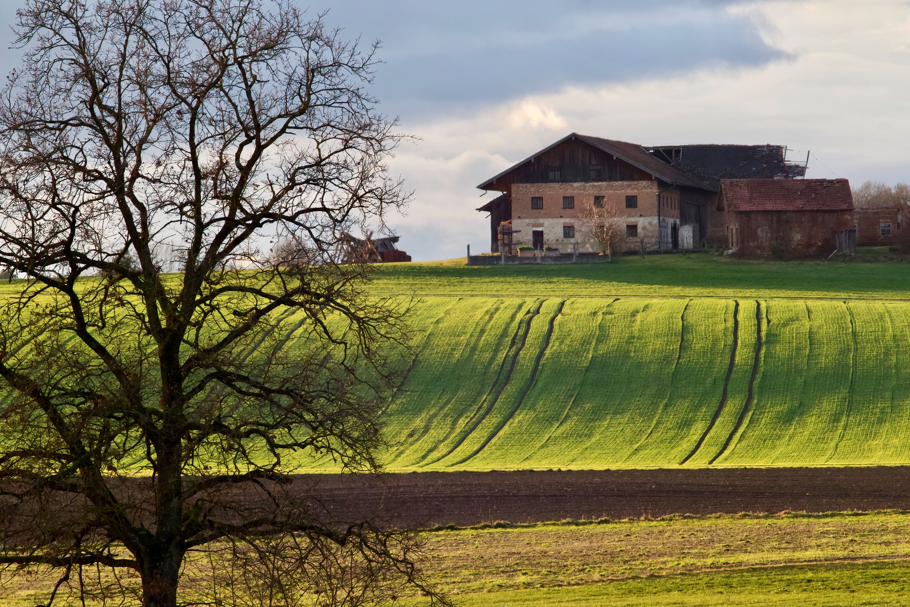 12-2021 // Meyer-Optik Görlitz Orestegor 4/200mm, Canon EOS 7D Mark II