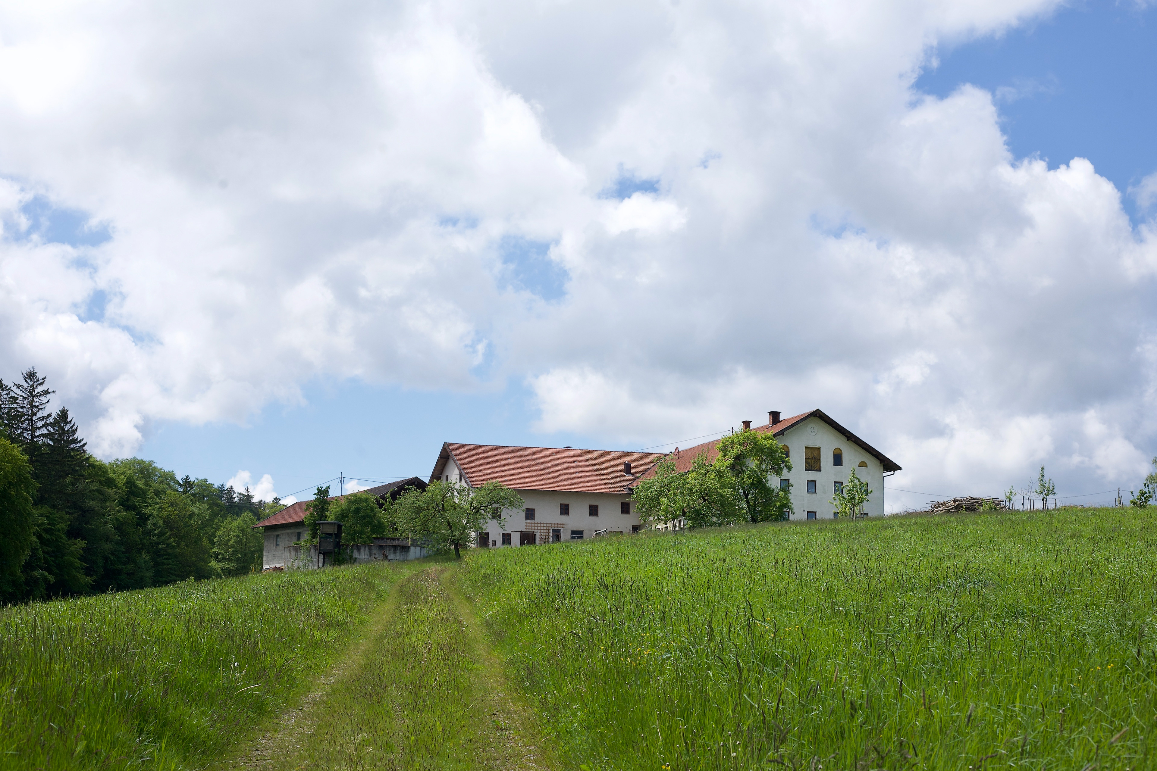 Dobl (Gmd. Reichertsheim)