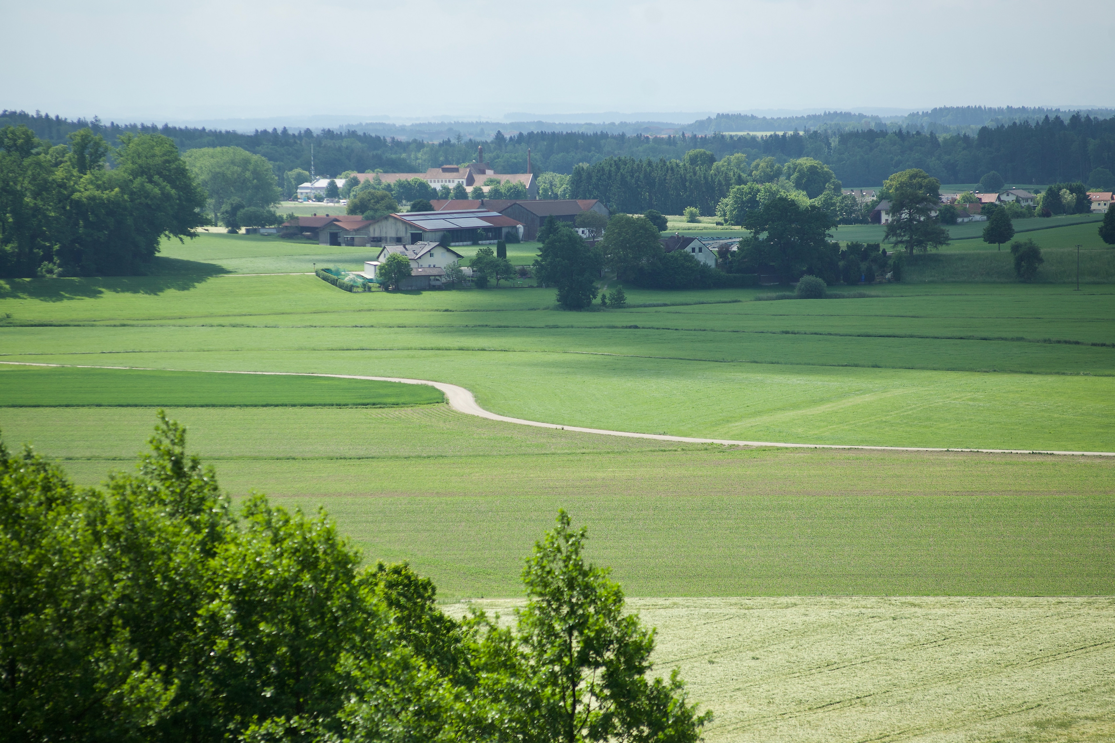 6-2021 // Blick vom Moränenzug nördlich des Ebrachtals Richtung Forsting (mit Brauhaus) // Pentacon electric 2.8/135mm, Canon EOS 5D