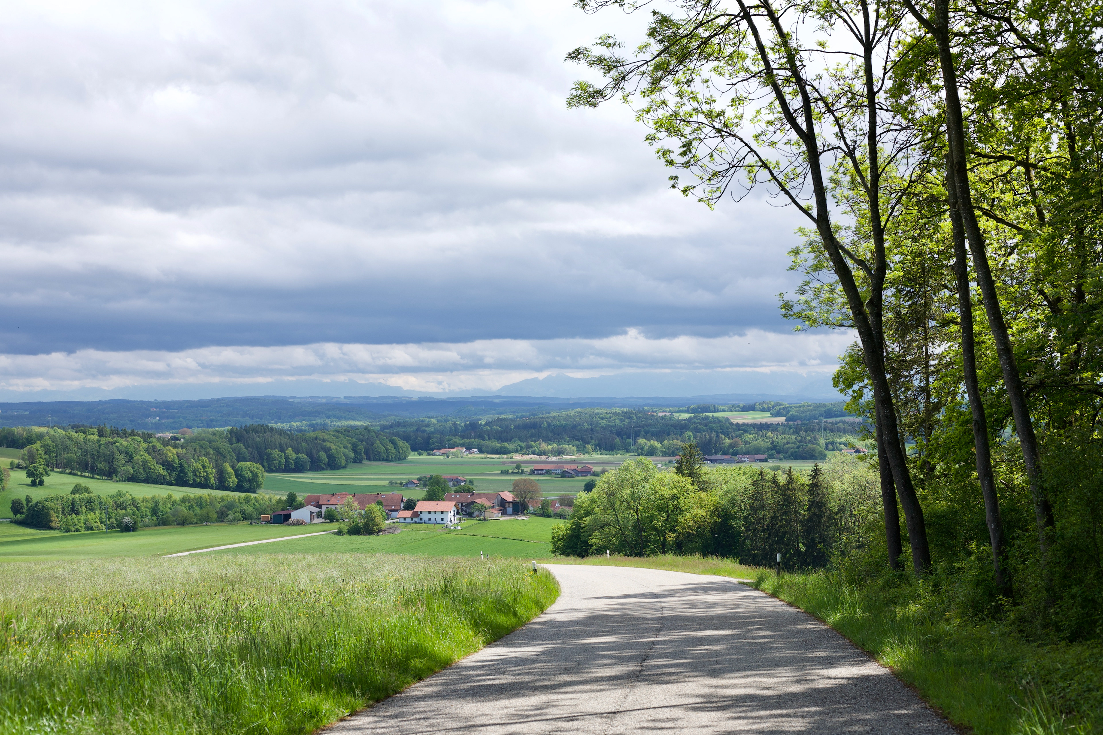 Bei Hundsöd (Gmd. Reichertsheim): Blick südwärts