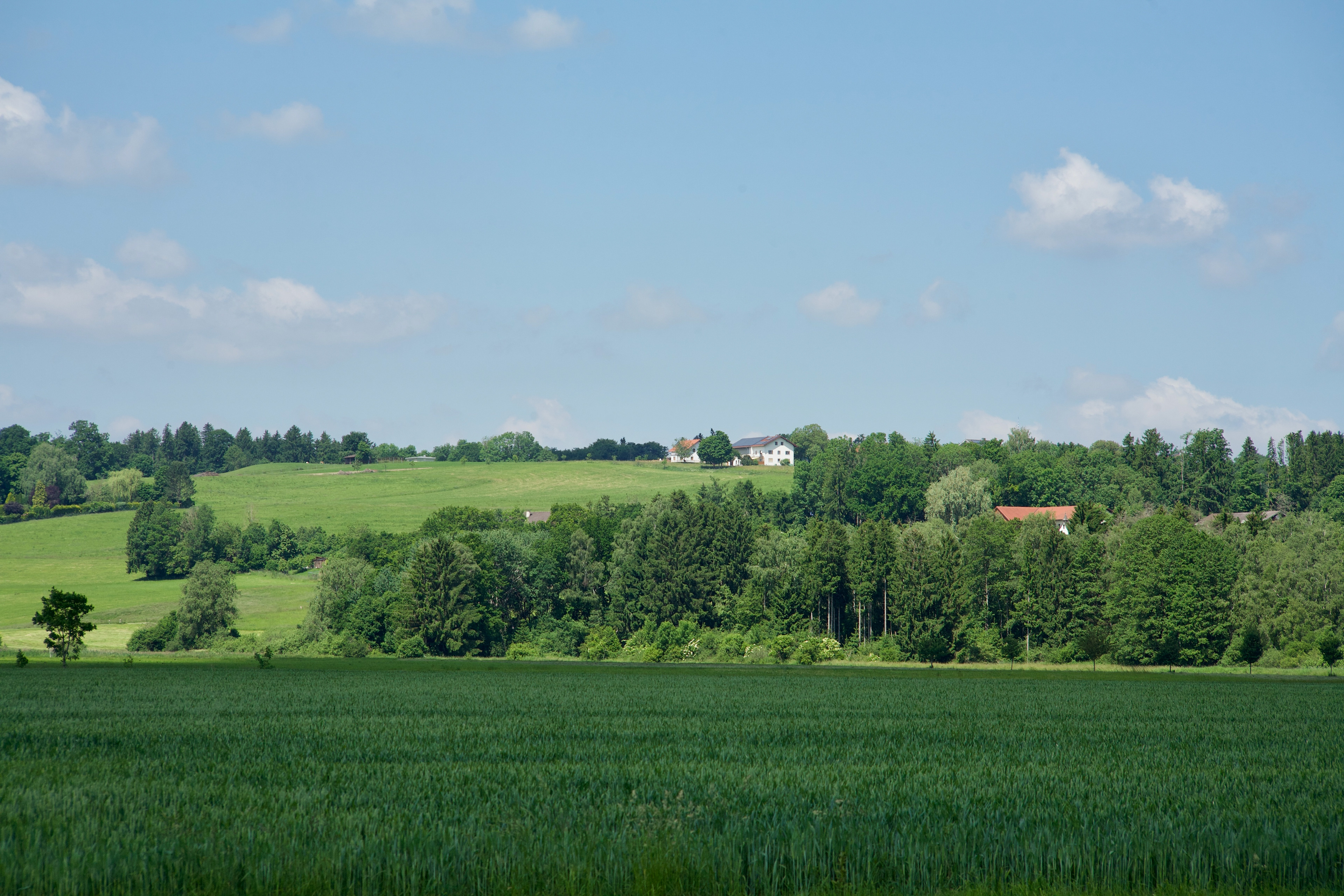 6-2021 // Der Moränenzug nördlich des Ebrachtals mit Etzenberg (Gmd. Steinhöring) // Pentacon electric 2.8/135mm, Canon EOS 5D