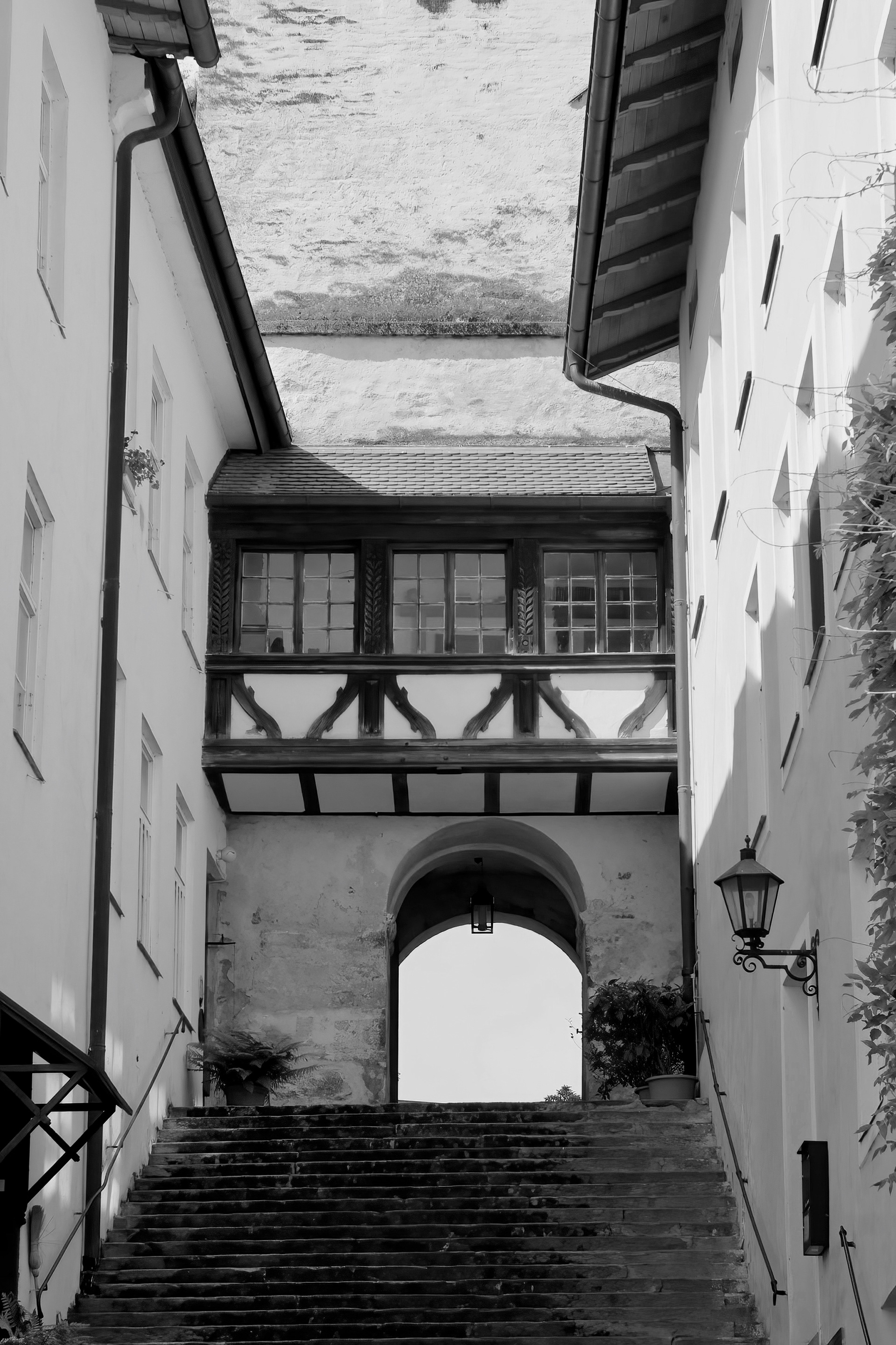 6-2021 // Burg Haag: Die große Freitreppe von 1748 // Carl Zeiss Jena Biotar 2/58mm, Canon EOS 30D