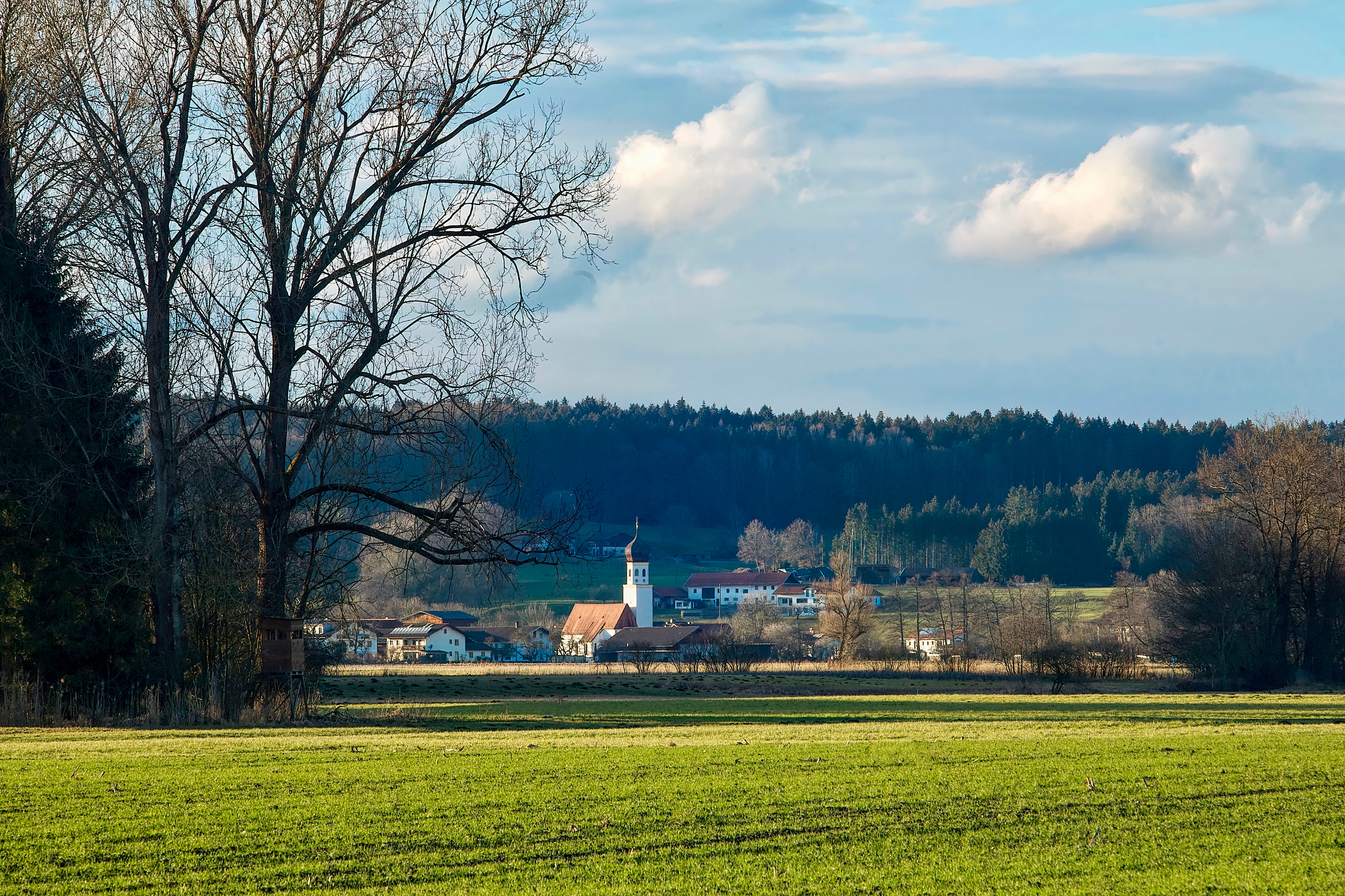 2-2021 // Ebrach // Meyer-Optik Görlitz Orestegor 4/200mm