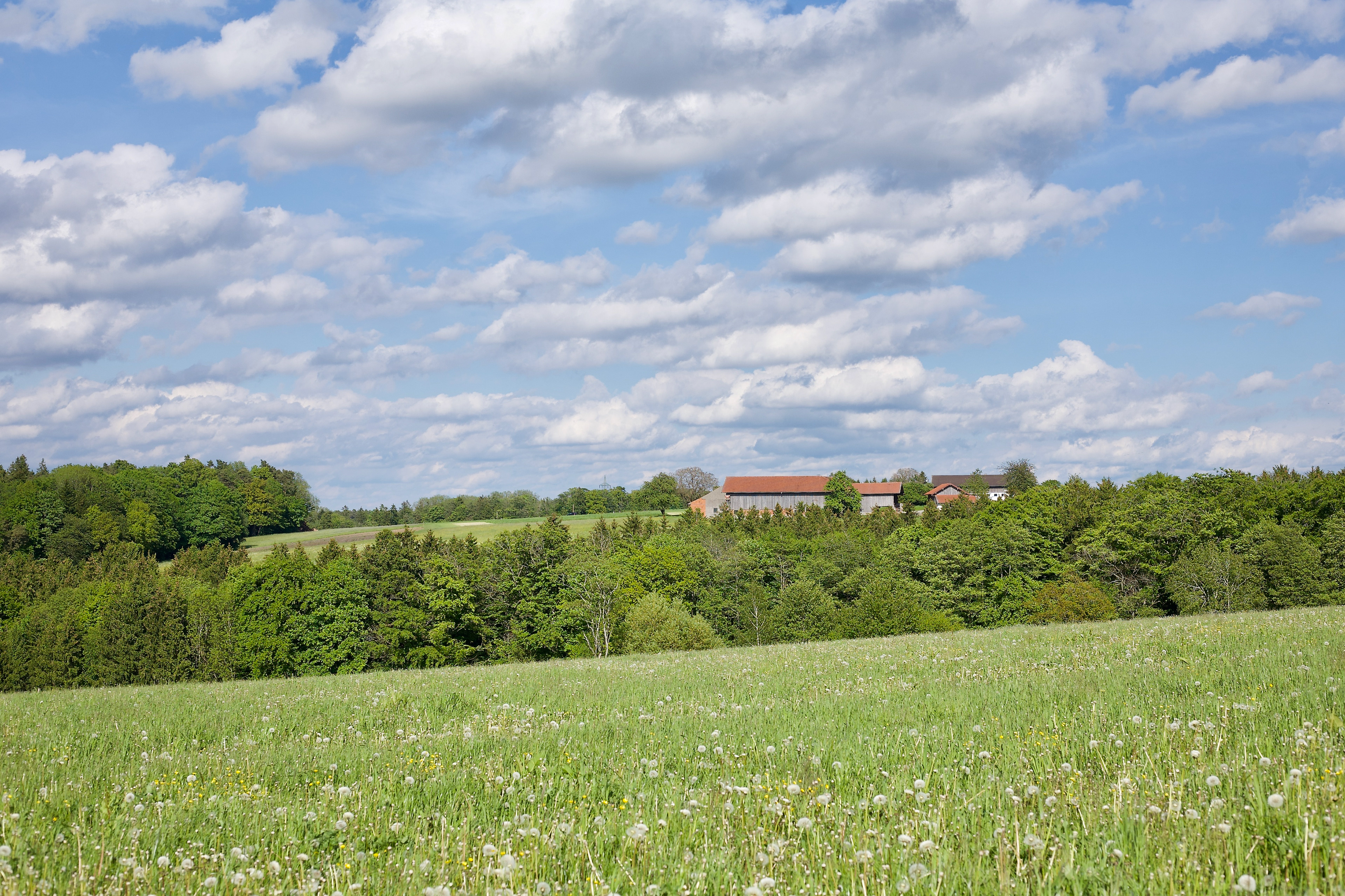 Blick von Lechen auf Reisach (Gmd. Reichertsheim)