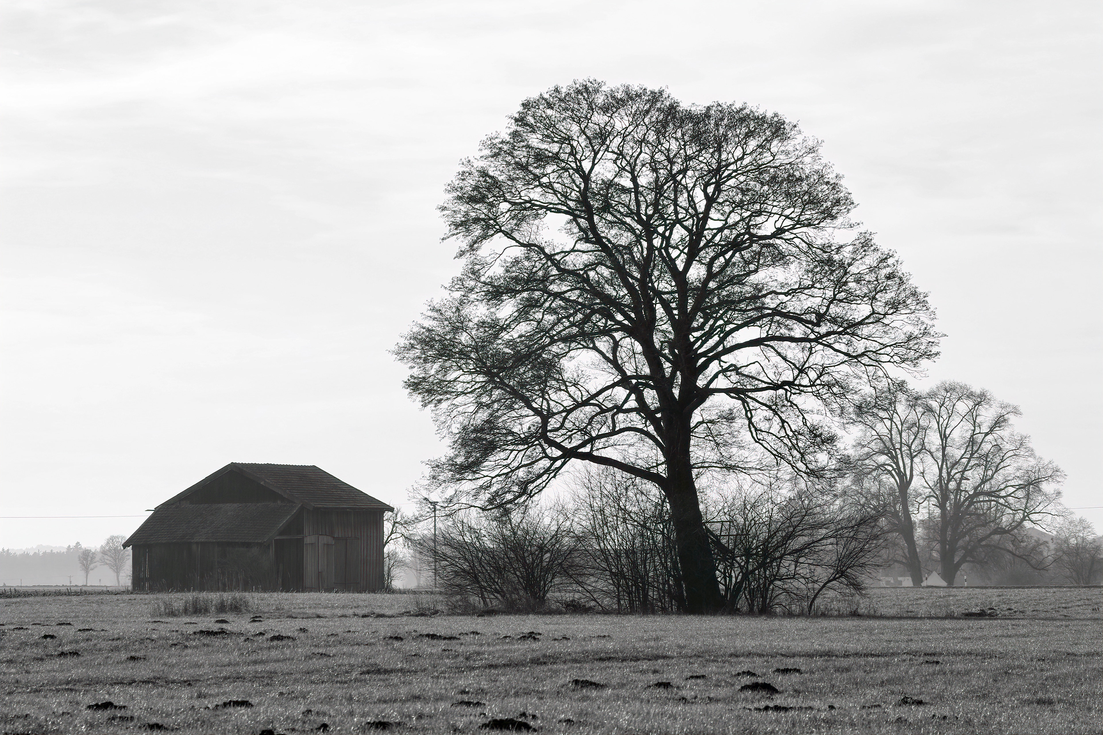 1-2022 // Pentacon electric 2.8/135mm, Canon EOS 7D Mark II