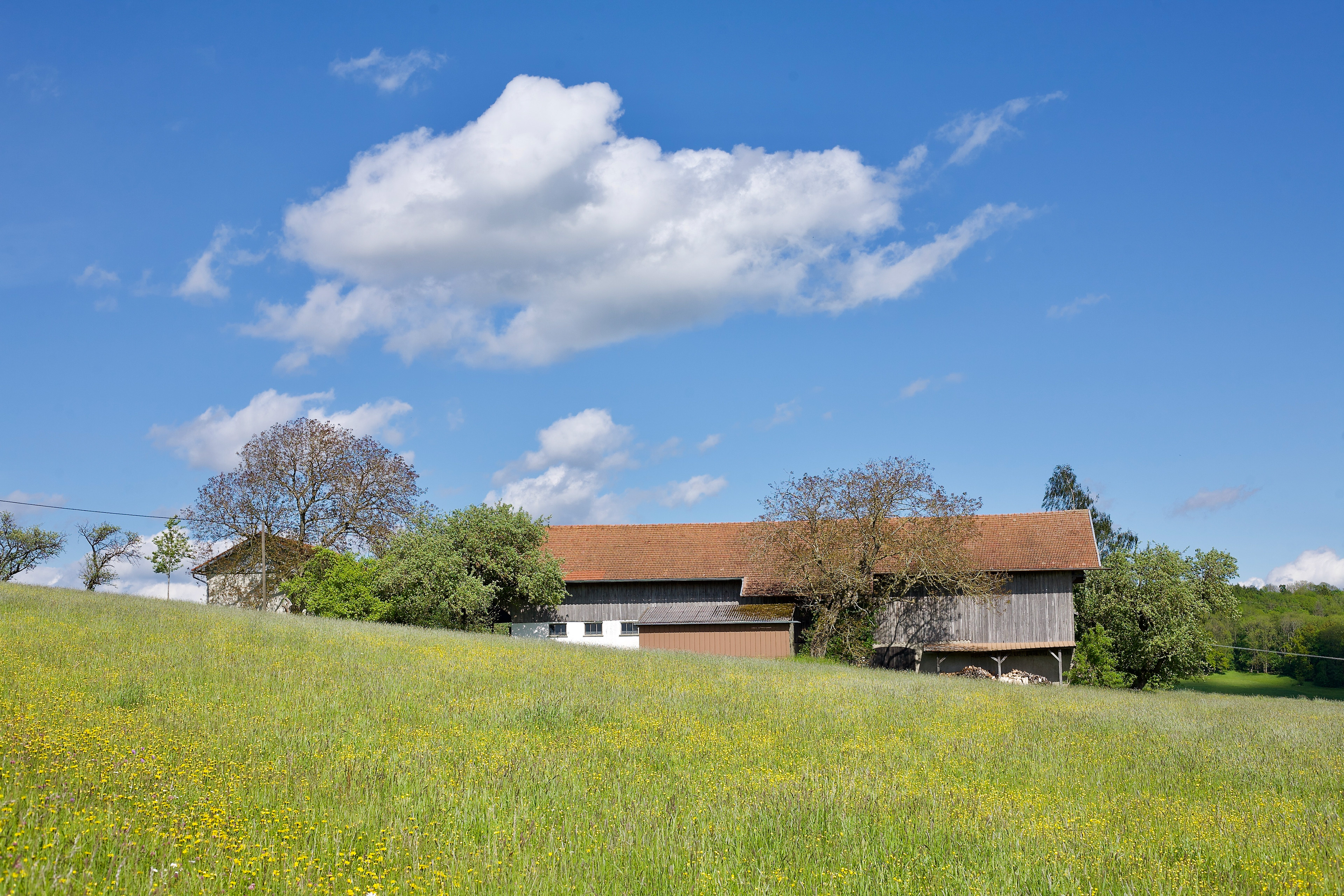 Aign (Gmd. St. Wolfgang)