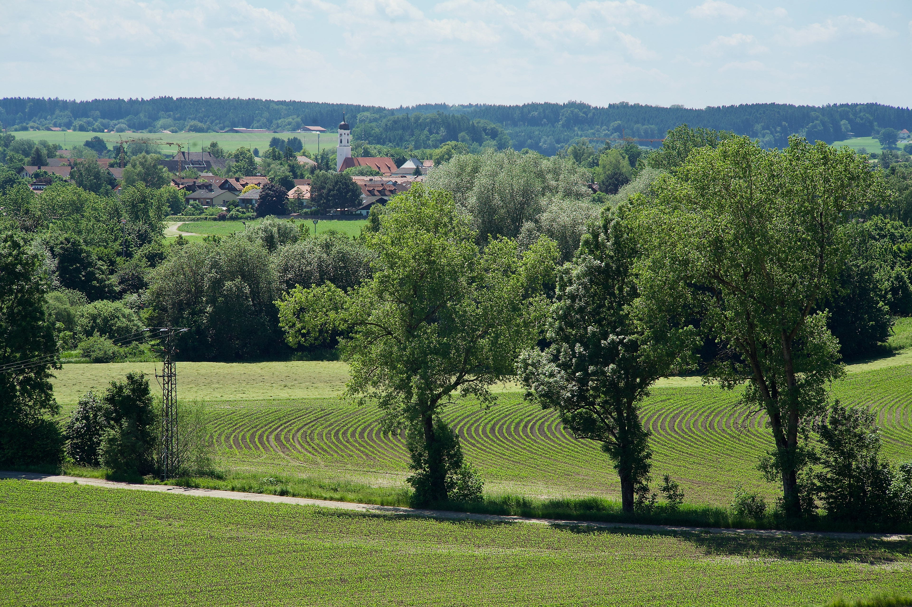 6-2021 // Ebrachtal: Blick auf Steinhöring // Pentacon electric 2.8/135mm, Canon EOS 5D