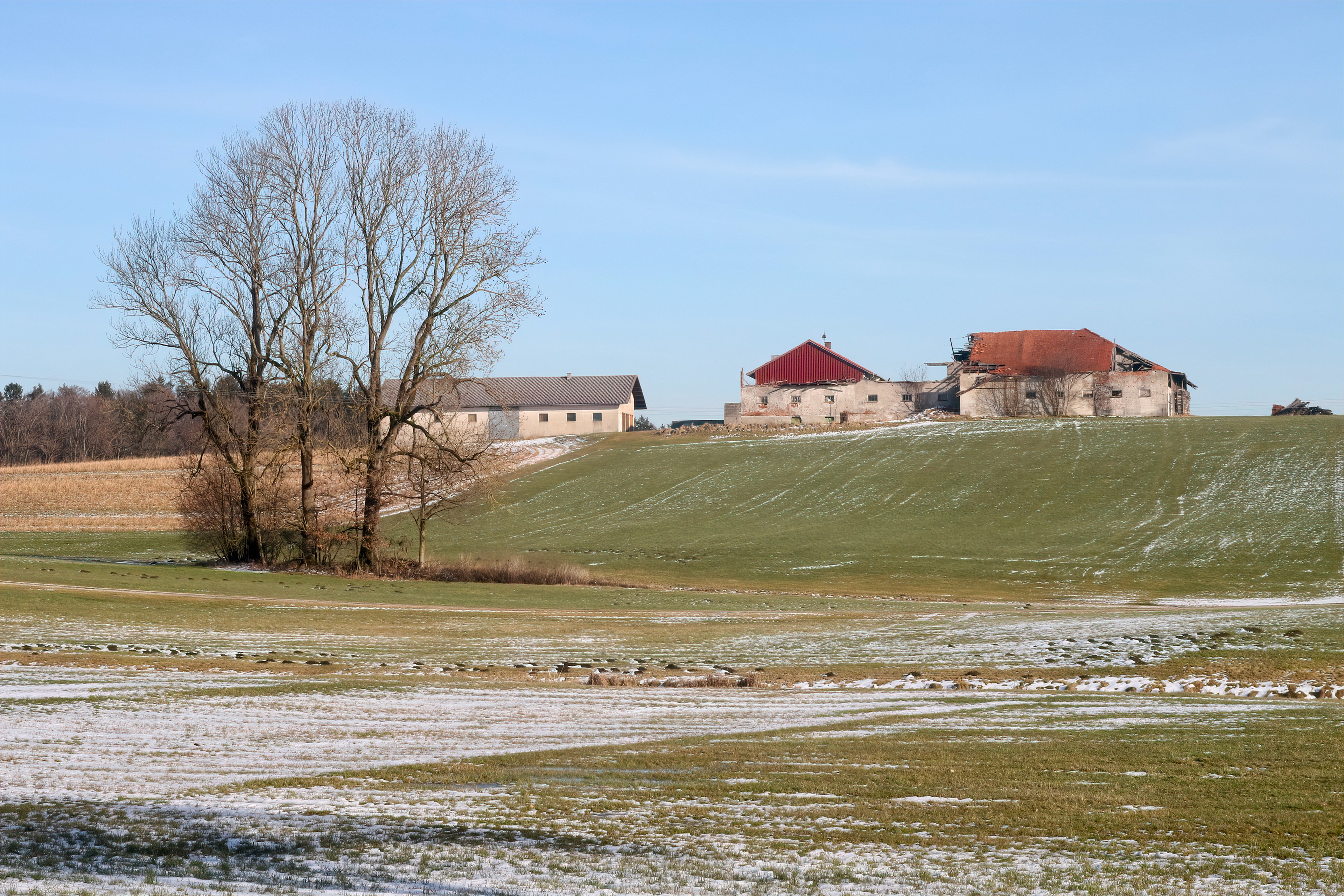 1-2022 // Carl Zeiss Jena Tessar 2.8/50mm (Altix-n), Canon EOS 7D Mark II