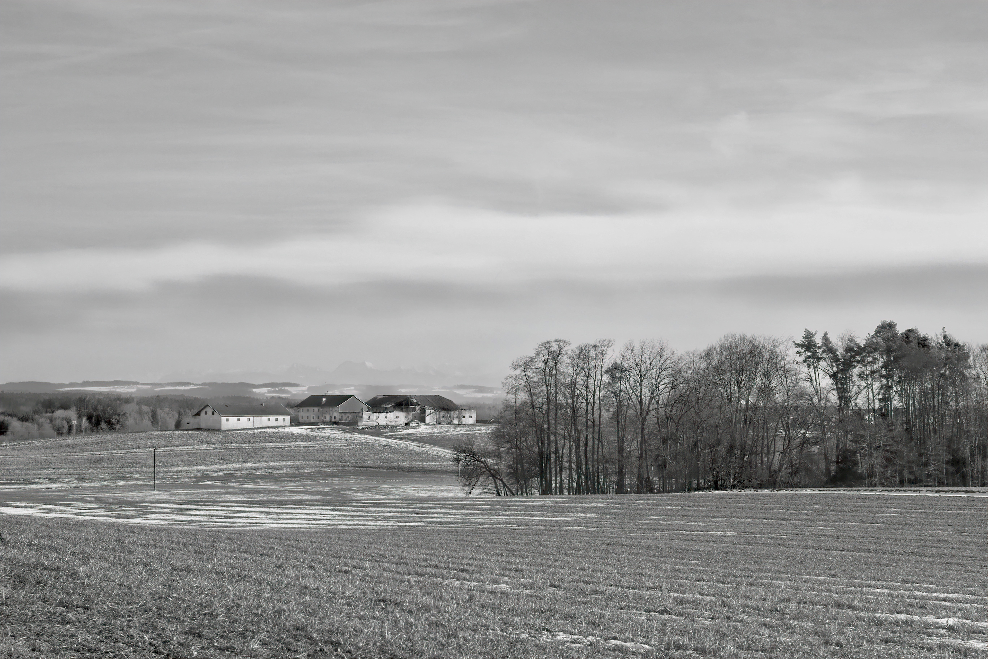 1-2022 // Carl Zeiss Jena Tessar 2.8/50mm (Altix-n), Canon EOS 7D Mark II