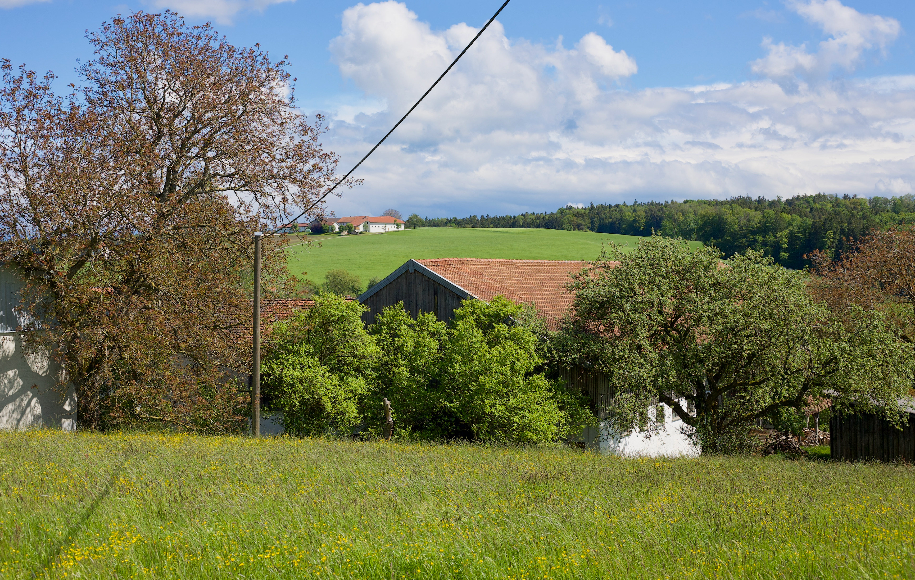 Aign (Gmd. St. Wolfgang), im Hintergrund Katzbach (Gmd. Reichertsheim)