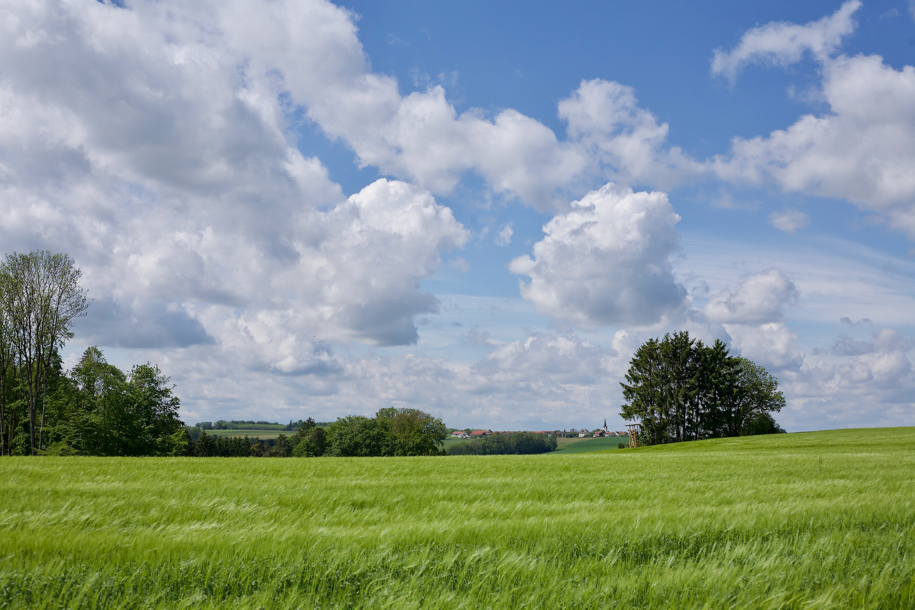 Bei Thannhub (Gmd. Reichertsheim): Blick auf Schönbrunn (Gmd. St. Wolfgang)