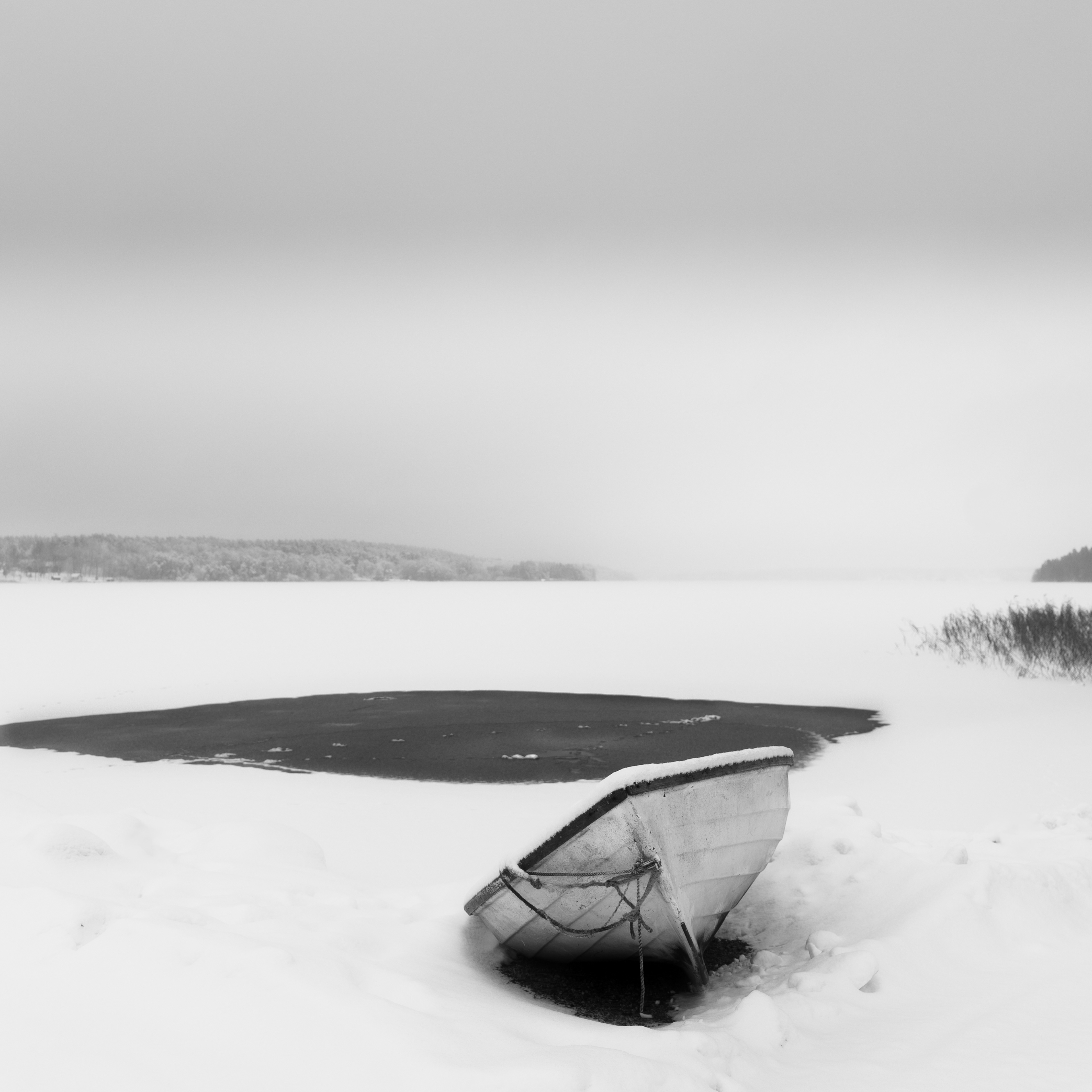 Forgotten boat 5/5