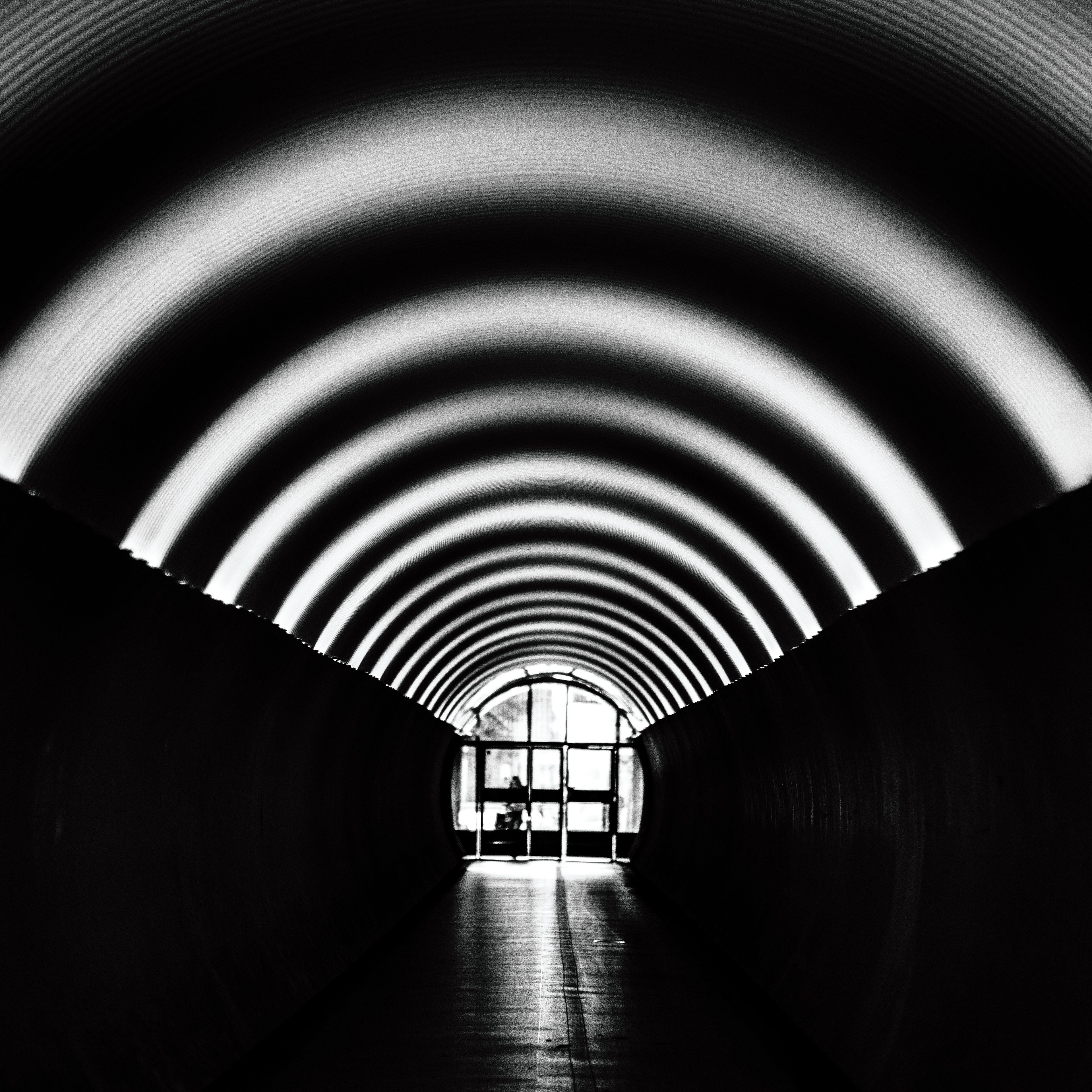 Tunnells&Lights study 2  5/5