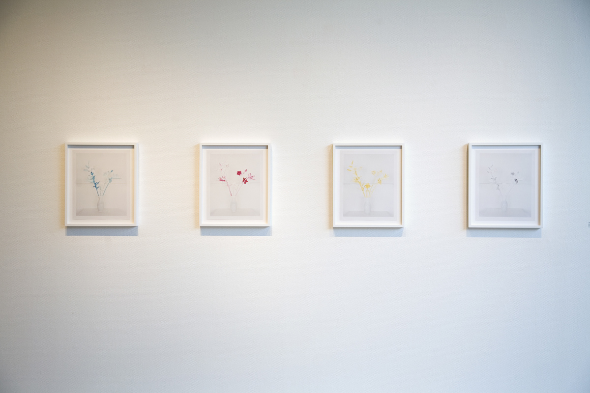 €3250 for the set. FAKE FLOWERS IN FULL COLOUR. icm Hans Gremmen. analogue c-prints