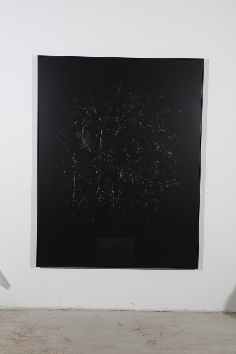 €3500-1750. Exhibition Print. Dead Flowers in red green and blue. 124x160 cm. Analogue c-print.