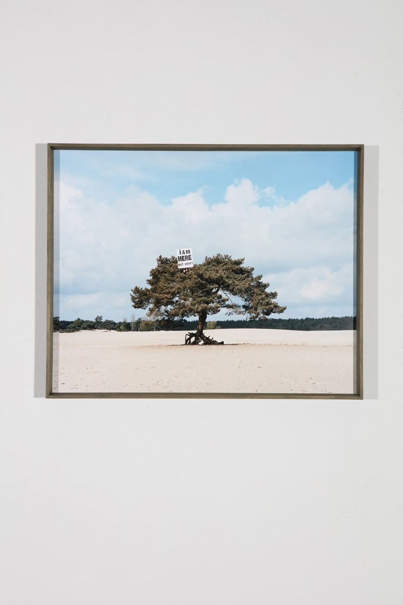 I AM HERE BUT WHY? 40x50 cm analogue c-print. €2350