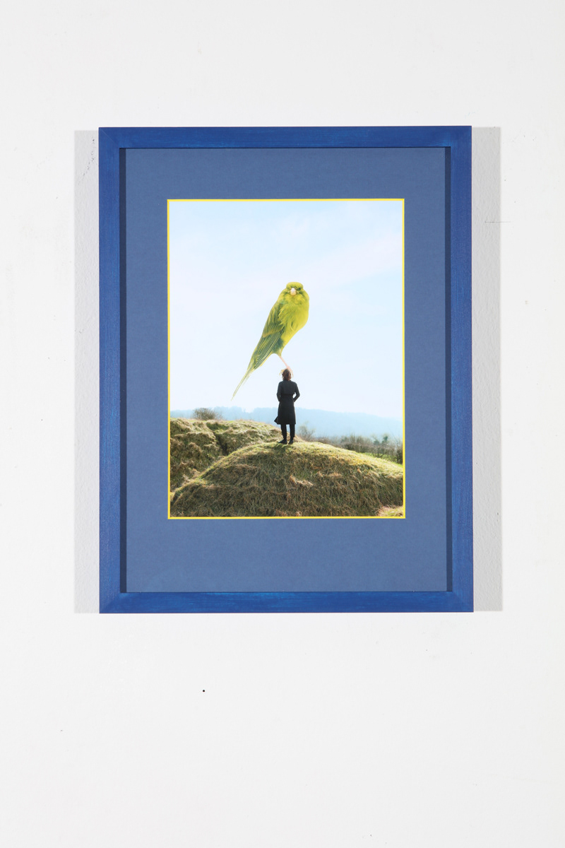 What moves you. 20x27 cm digital c-print in a 30x40 cm frame with a blue passe partout with a yellow core. €700. without frame: €350