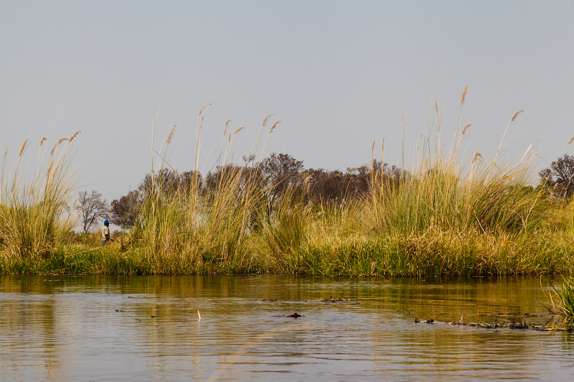 The waterways of the Okavango Delta