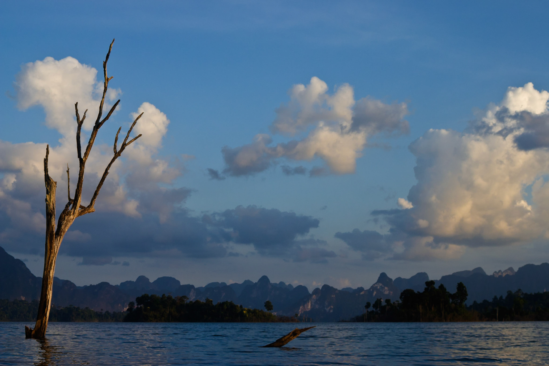 Khao Sok National Park, a fairly new reservoir in a topical rain forest.