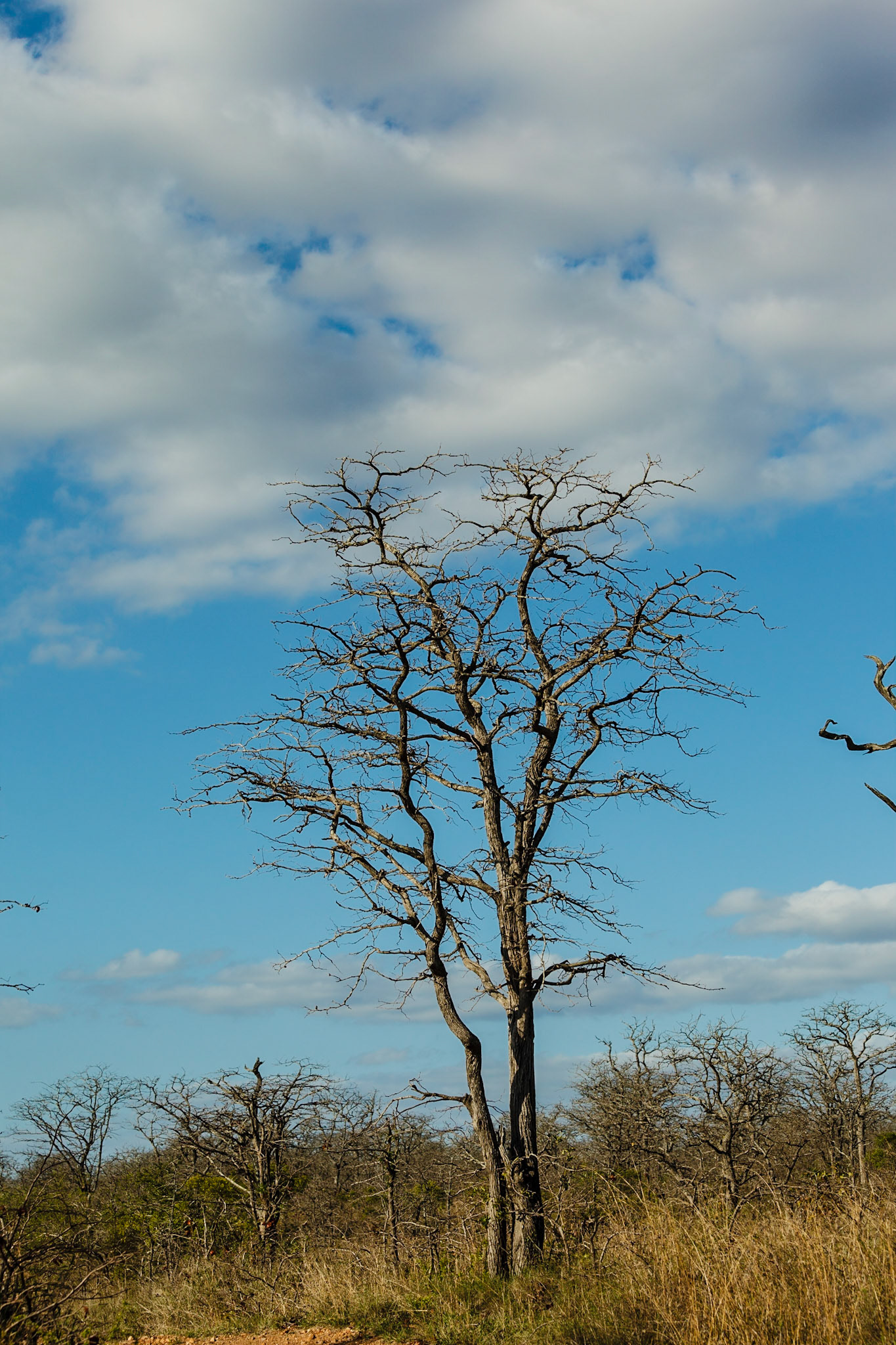 Timbivati Game Preserve