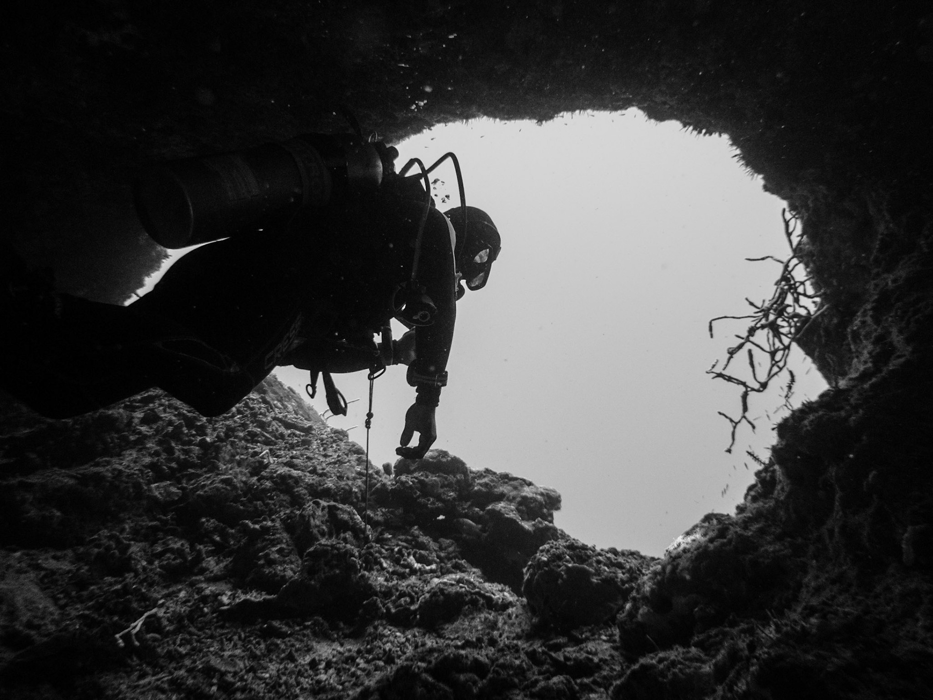 Pescador Island dive site