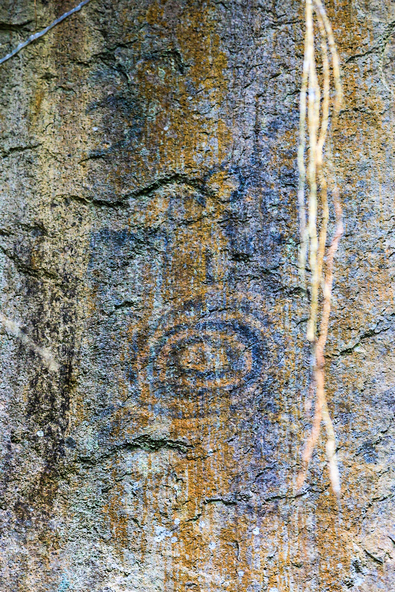 Cave paintings at Inkaterra lodge in Machu Picchu Puebla