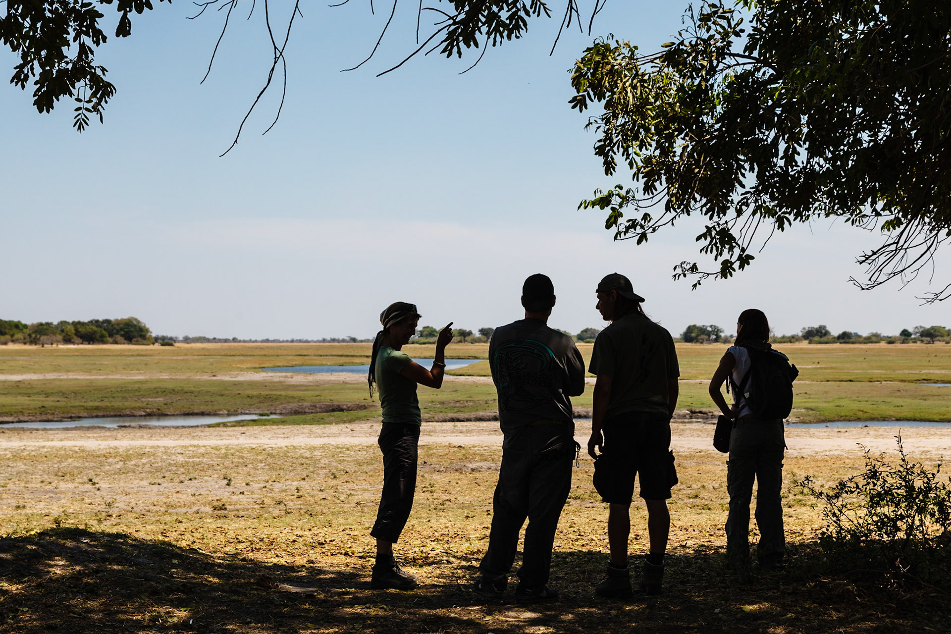 Looking out over the Chobe River