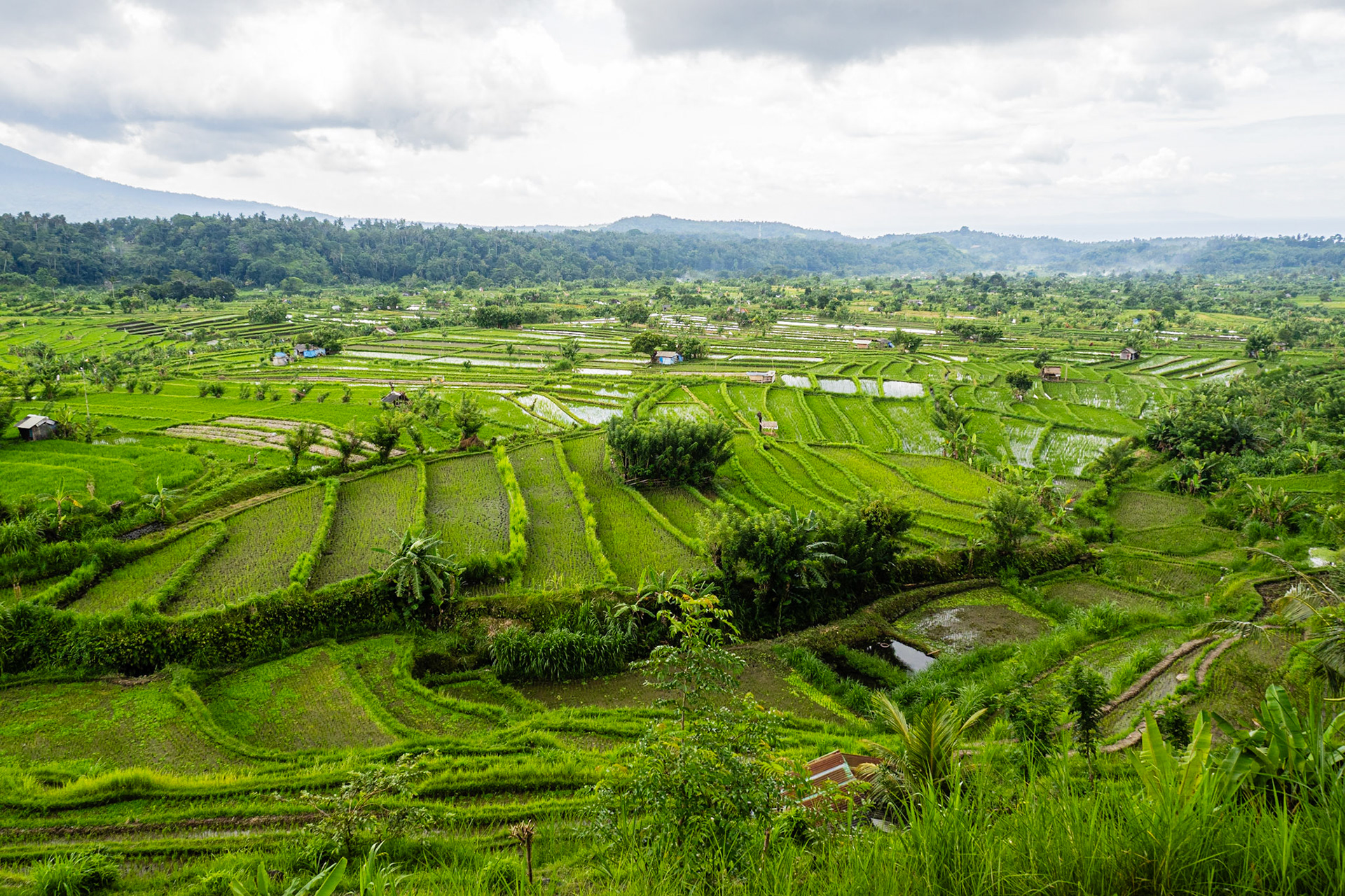 Karangasem Rice⁩⁦ Terraces