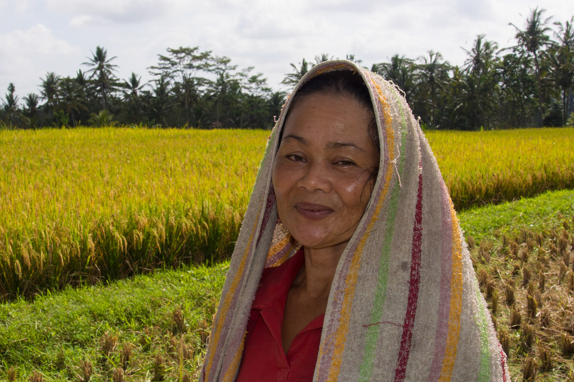Women winnowing rice