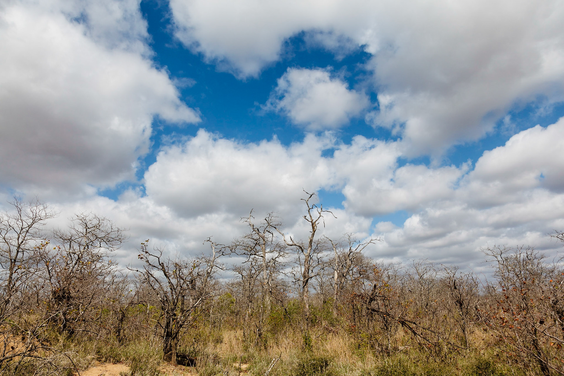 Timbivati Game Preserve