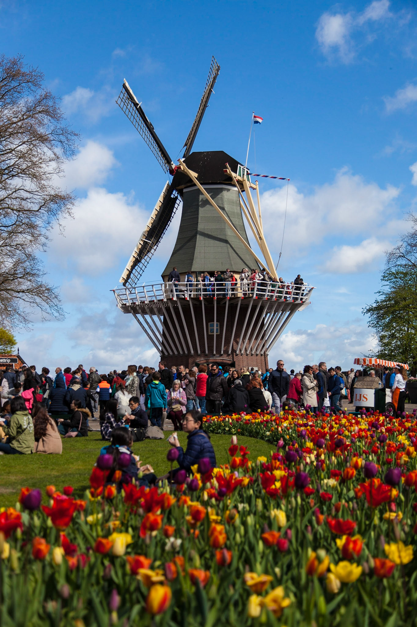 Windmill at Keukenhof