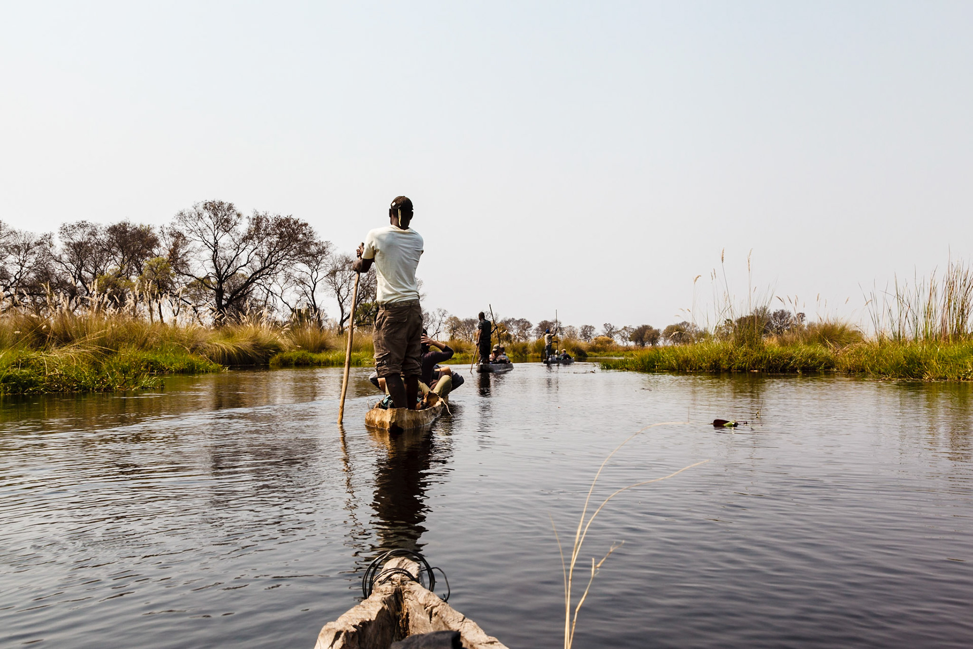 Poling mokoros through the Okavango Delta