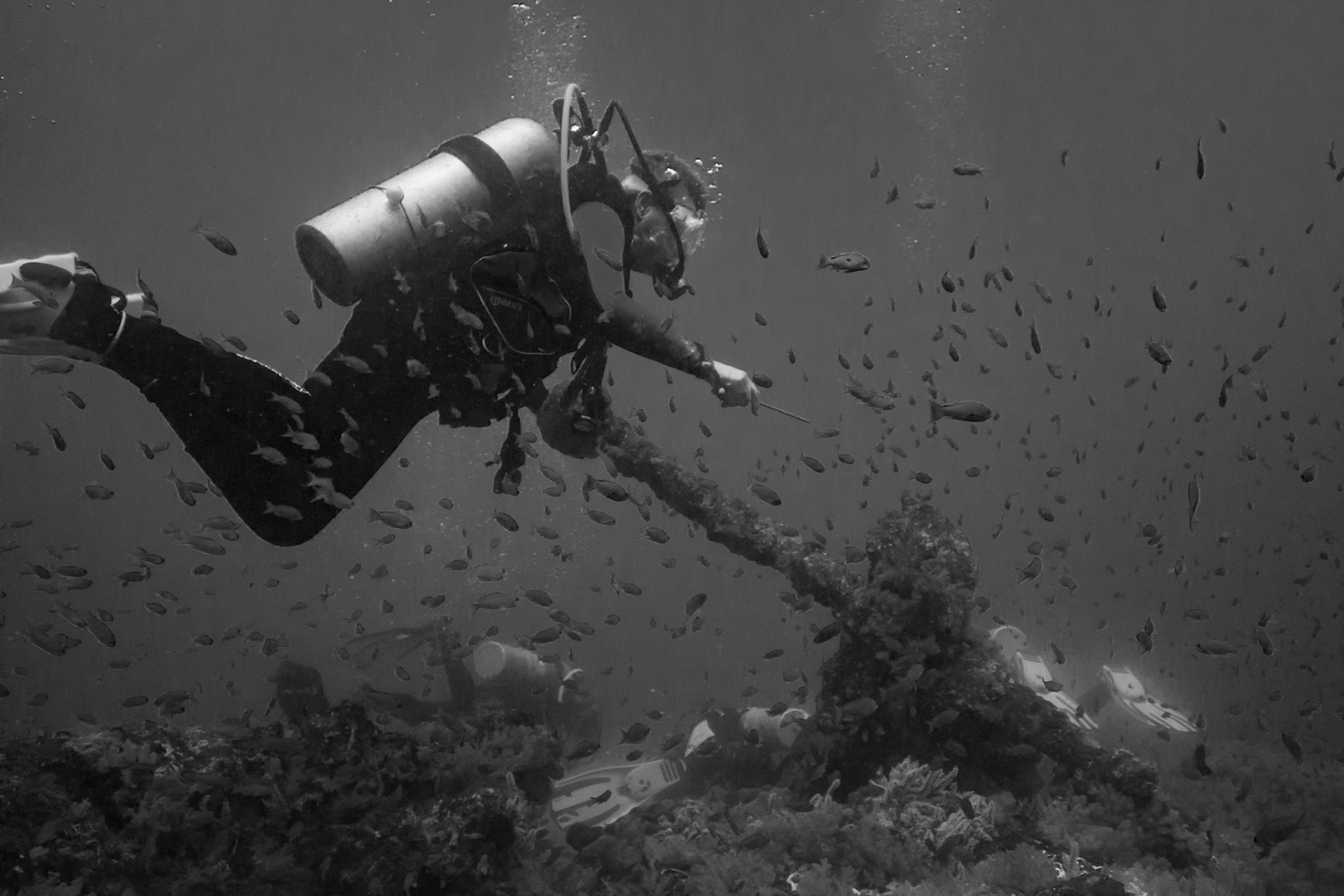 Bieke Simonts and an anchor in high current
