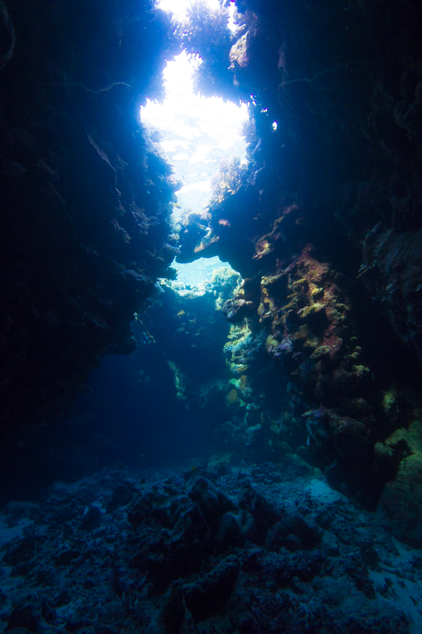 Underwater caves at Umm Hararim (Cave Reef). The whole dive site is a series of intersecting caves.